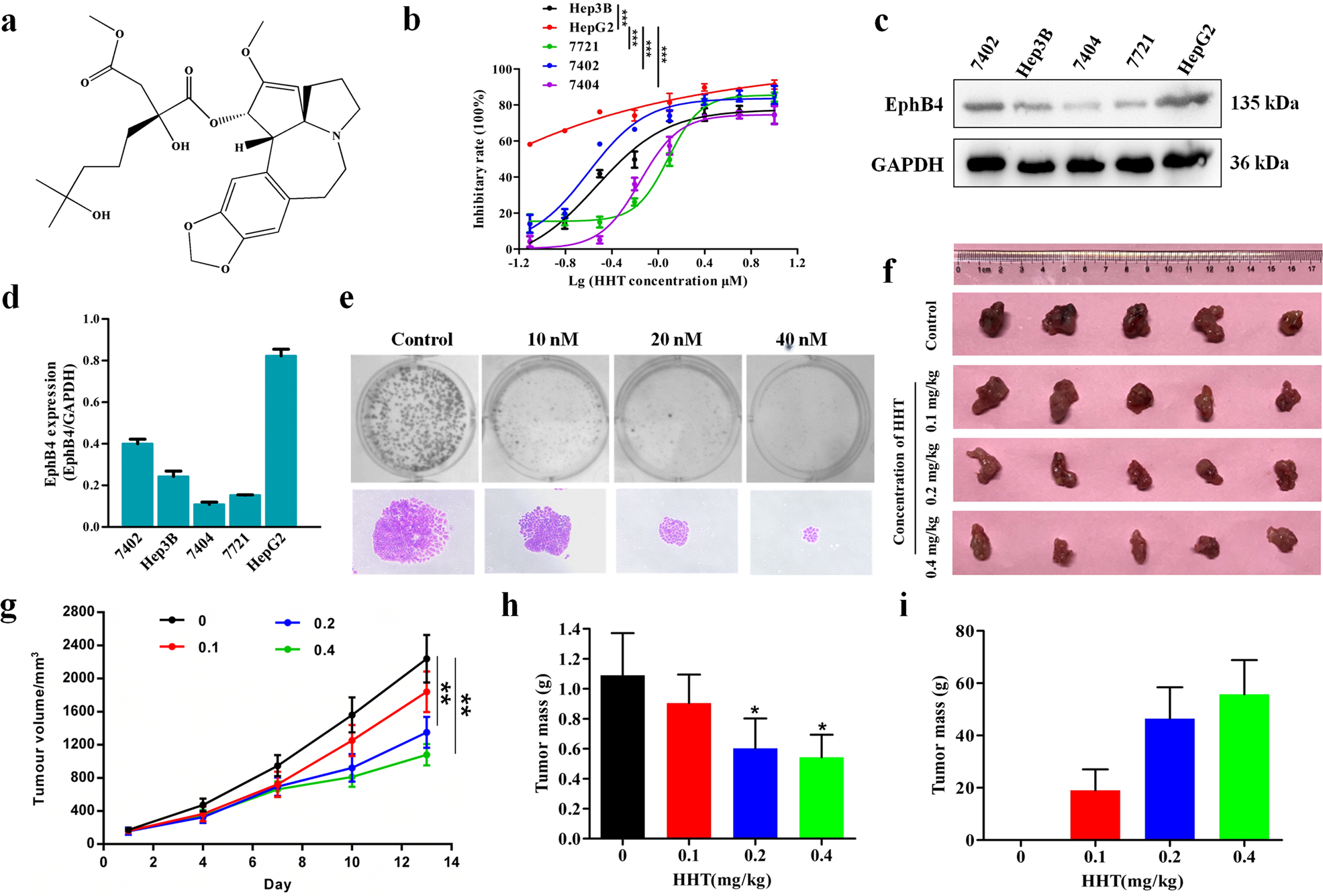 Fig. 1: HHT exhibited a growth inhibitory effect on HCC cells in vitro and in vivo.