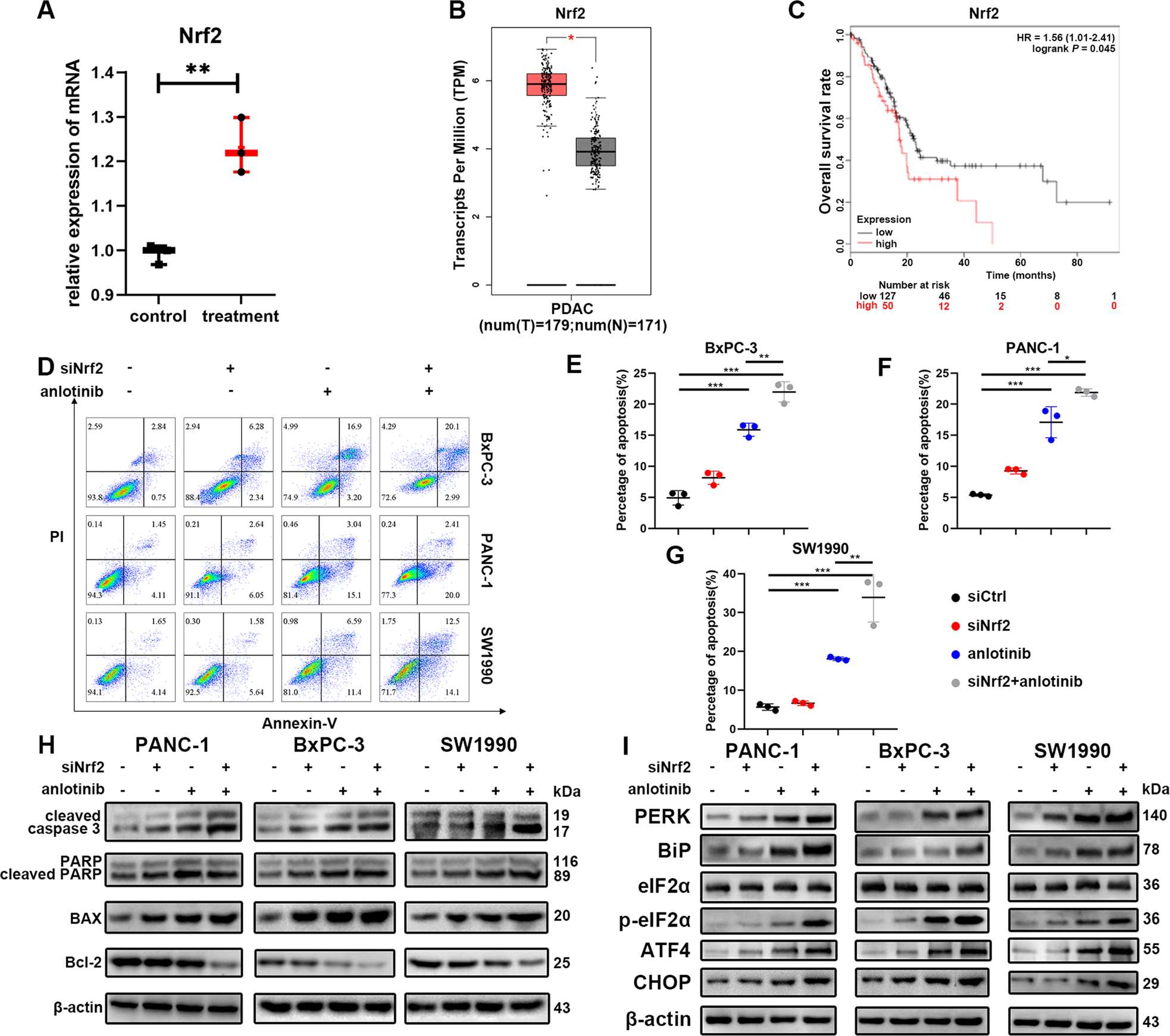 Fig. 6: Suppression of Nrf2 enhances the antitumour effect of anlotinib in vitro.