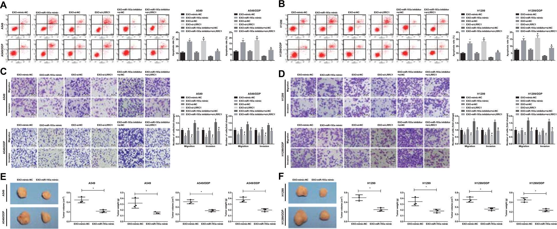 Fig. 7: BMSC-Exo with upregulated miR-193a and downregulated LRRC1 restrain migration and invasion while promote apoptosis of NSCLC cells, and suppress tumor growth in mice with NSCLC.
