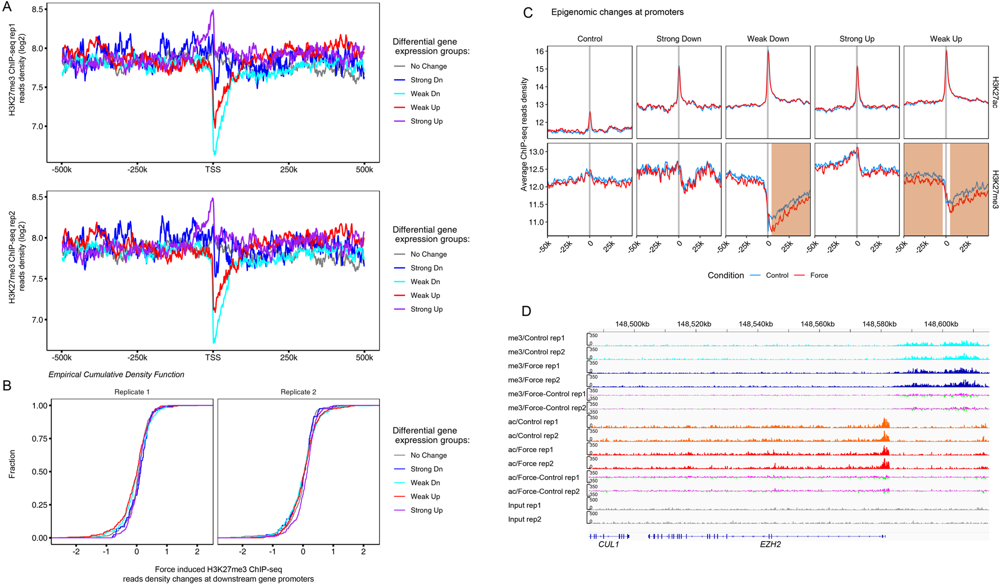 Fig. 4: Epigenomic analysis reveals force-induced dynamics of H3K27me3 landscape surrounding the differentially regulated mechanoresponsive genes.