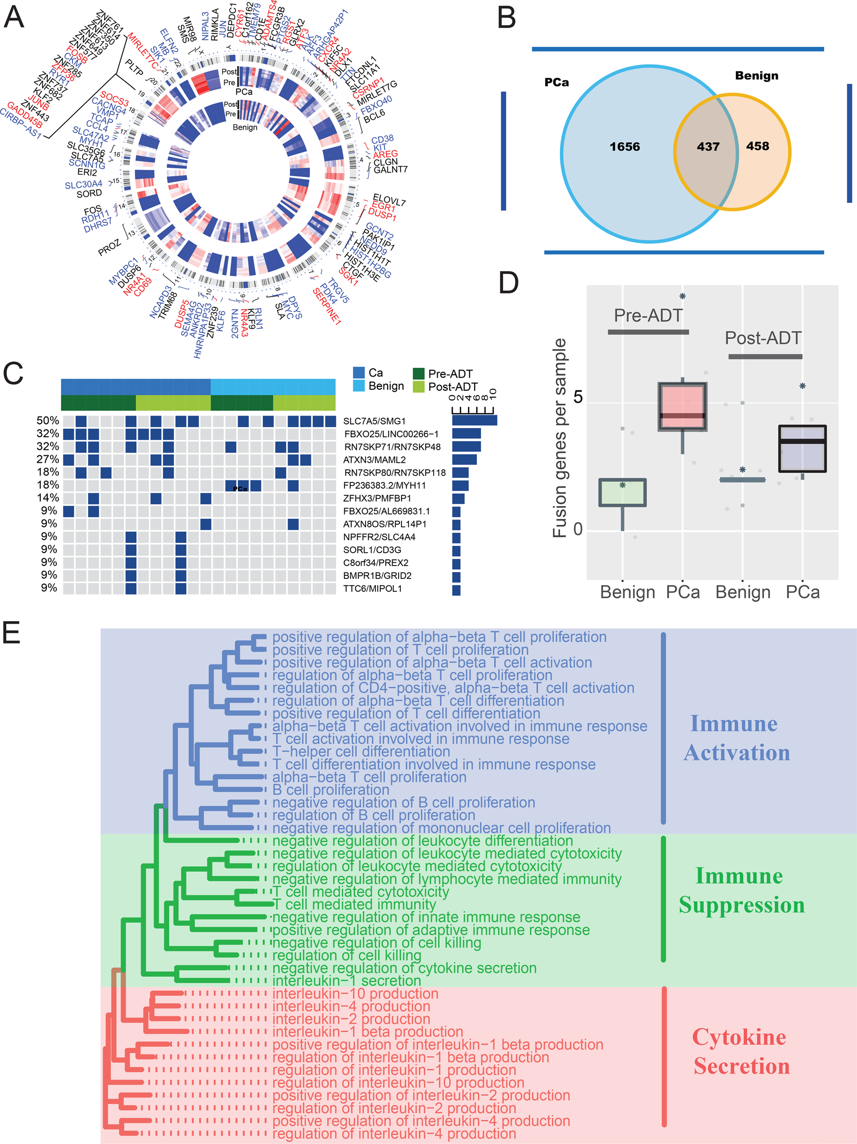 Fig. 1: The transcriptional landscape of PCa and paracancerous benign tissues response to ADT.