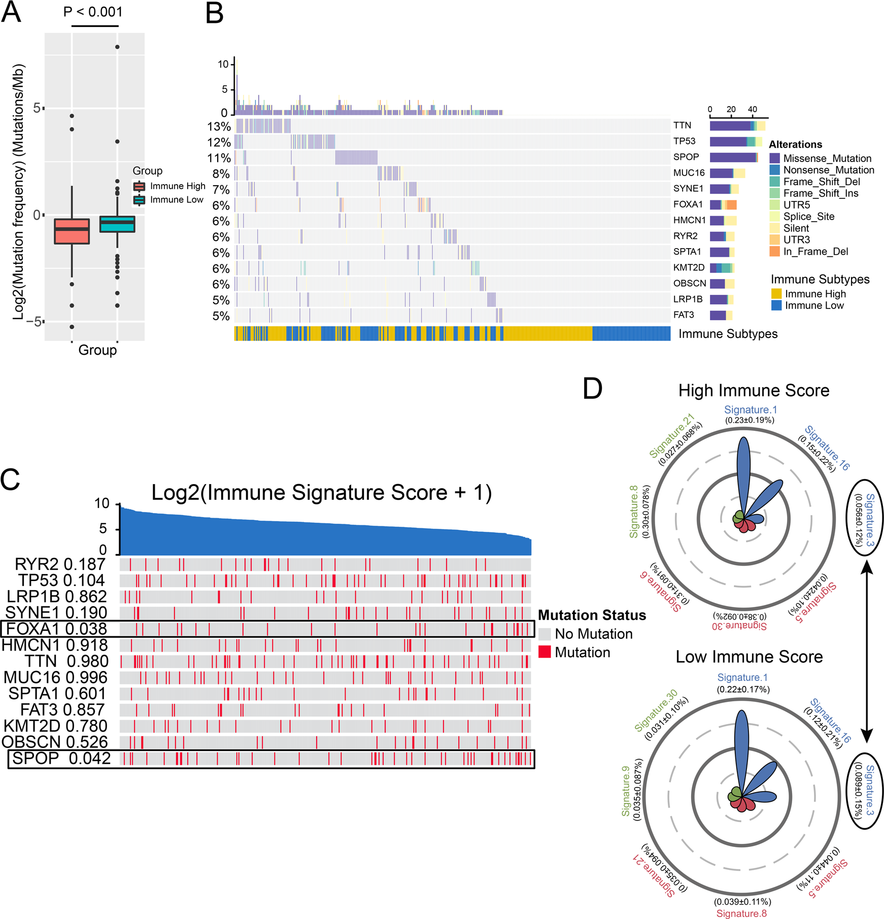 Fig. 6: Difference of somatic mutation landscape between immune-high and -low subtype.
