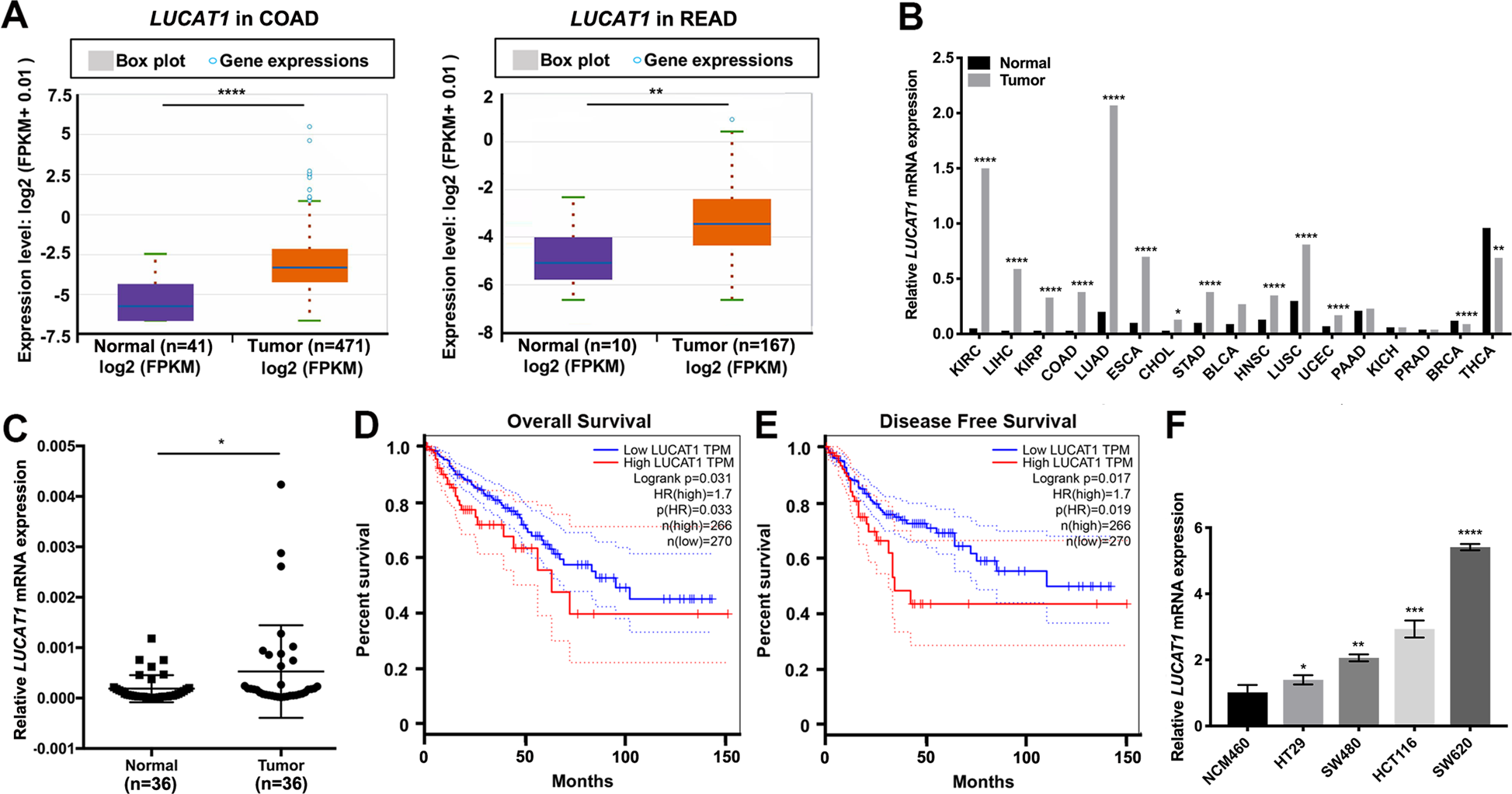 Fig. 1: LUCAT1 is upregulated in CRC tissues.