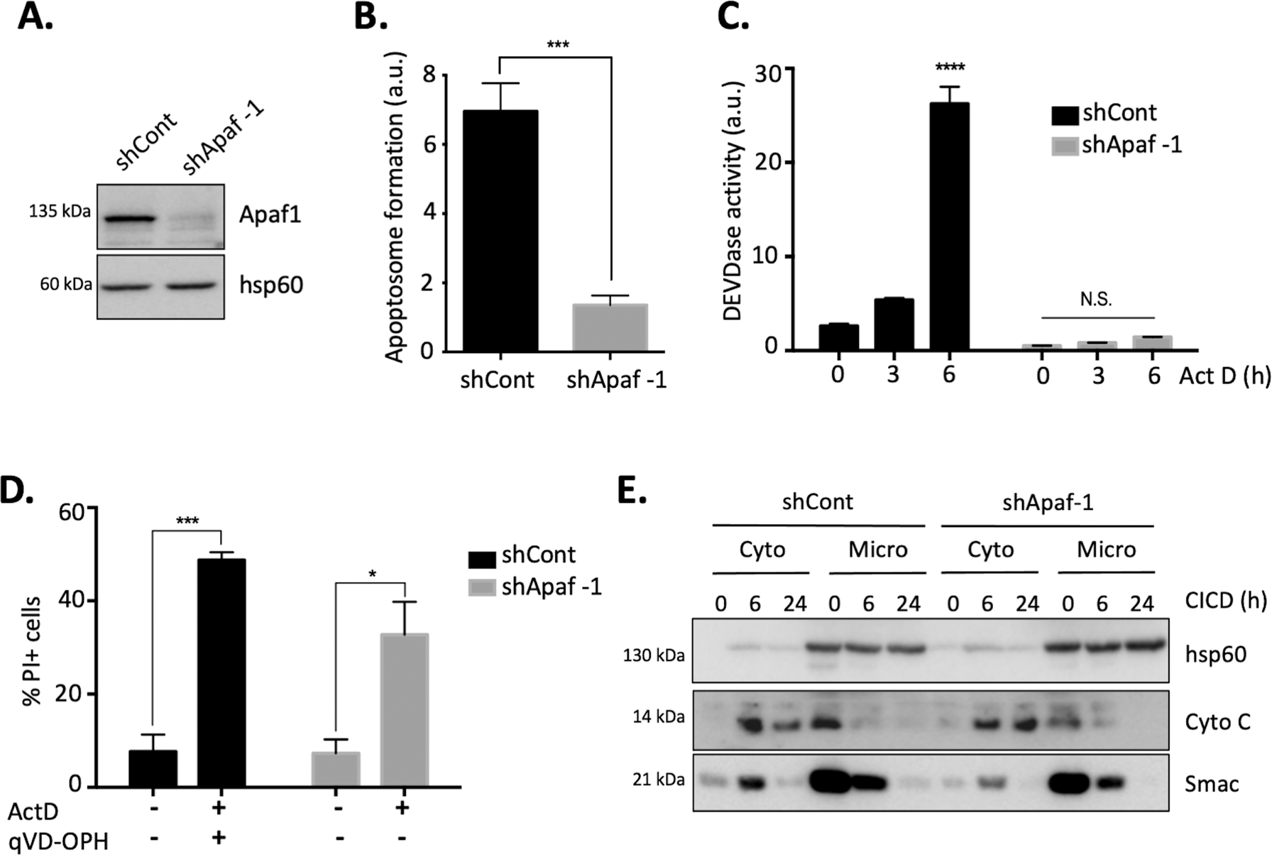 Fig. 1: Generation of a cell line model to identify CICD regulators.