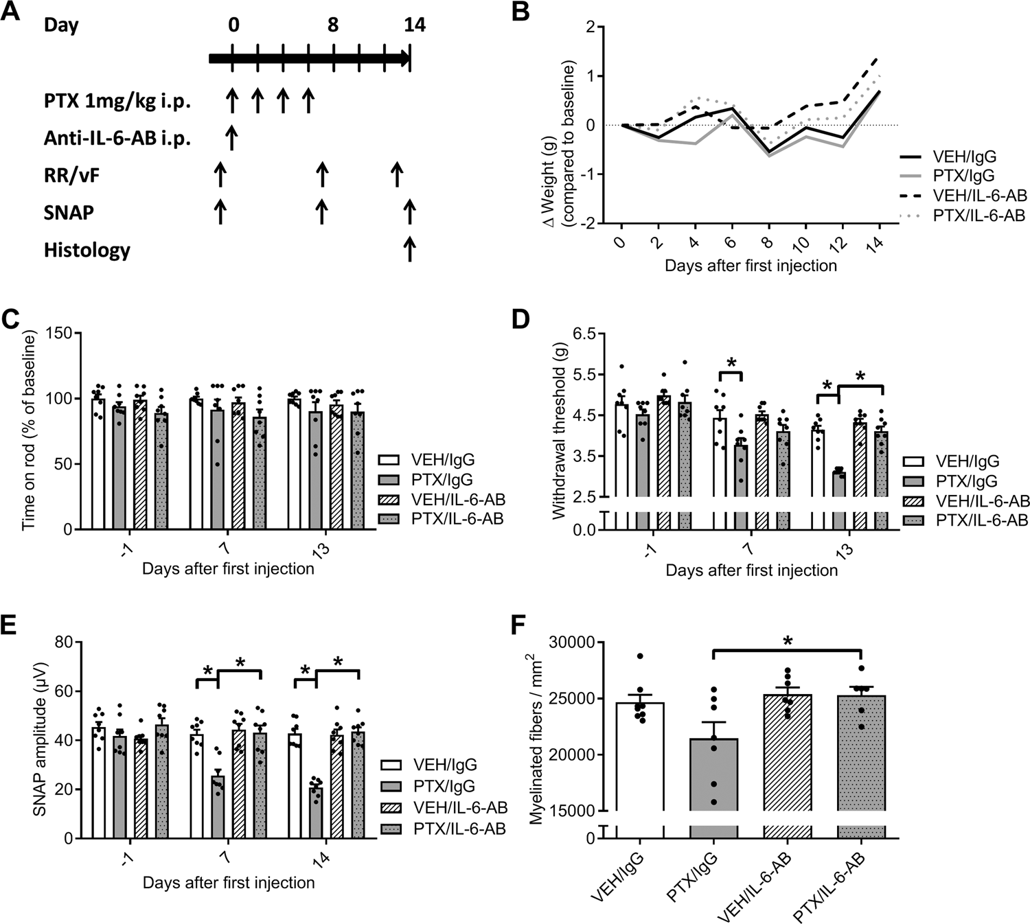 Fig. 4: Effect of IL-6-neutralizing antibodies (IL-6-AB) on the development of paclitaxel-induced sensory neuropathy.