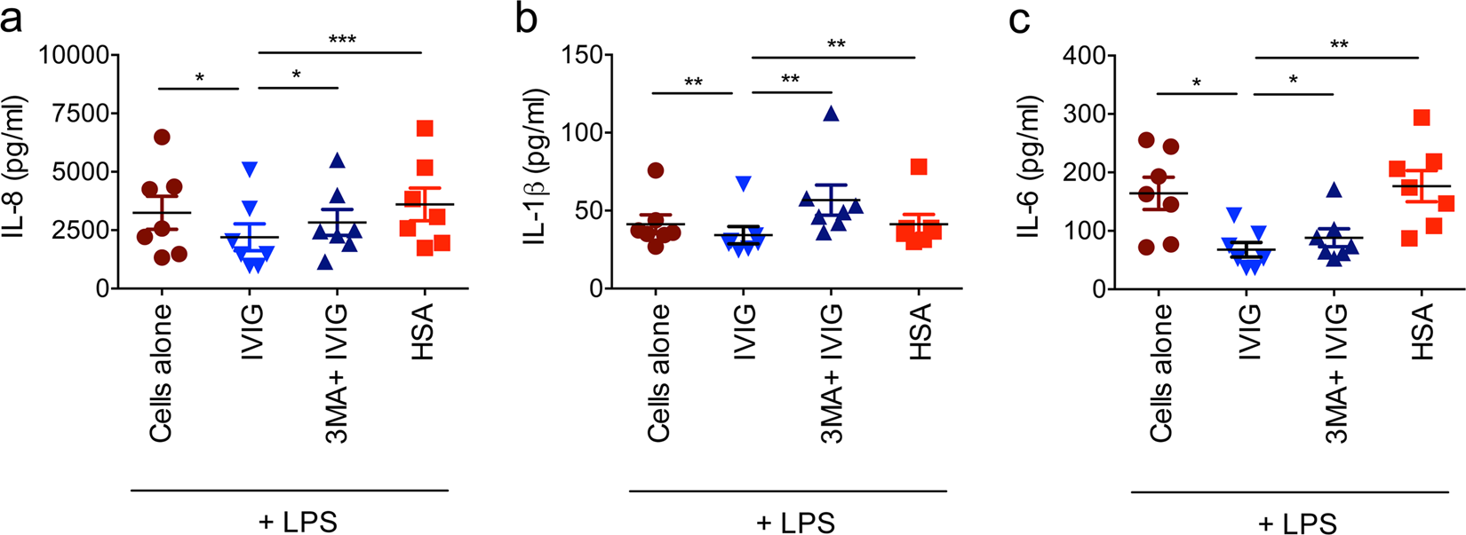 Fig. 7: Induction of autophagy is critical for the anti-inflammatory actions of IVIG.