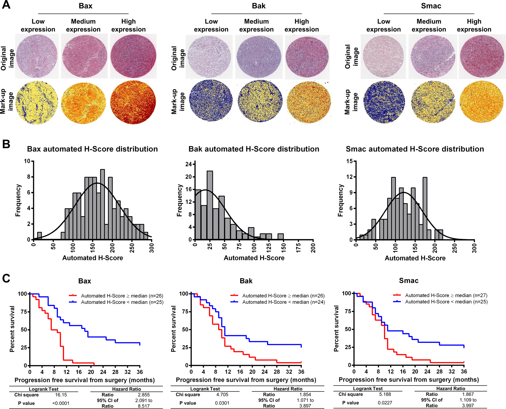 Low expression of pro-apoptotic proteins Bax, Bak and Smac indicates  prolonged progression-free survival in chemotherapy-treated metastatic  melanoma | Cell Death & Disease