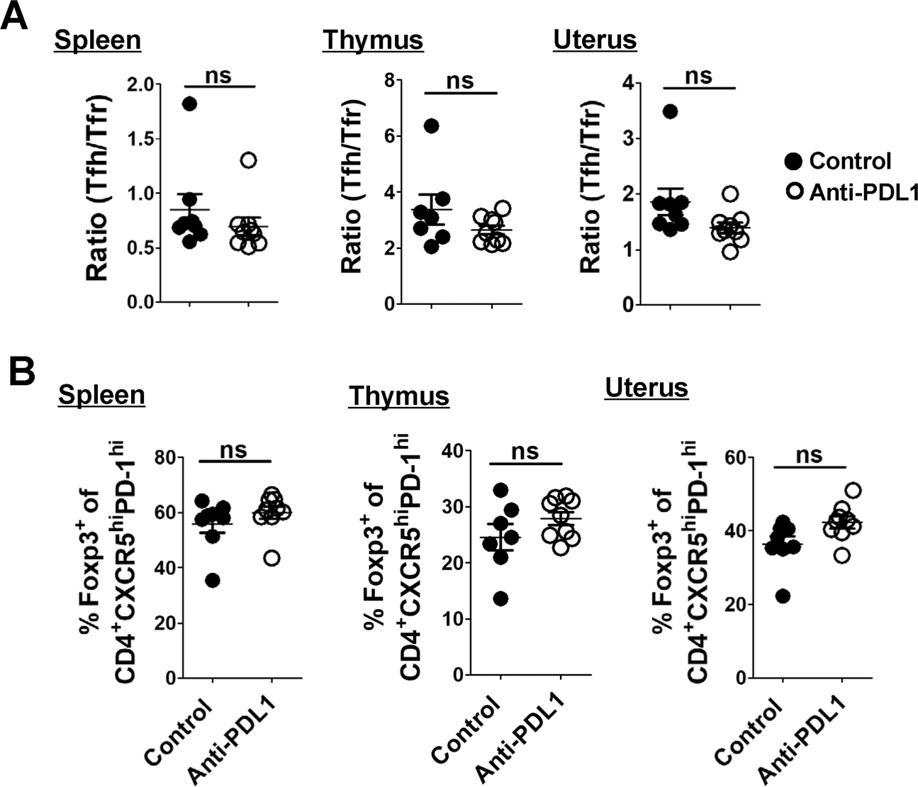 Fig. 5: PDL1 blockage does not affect the ratio of Tfh/Tfr cells.