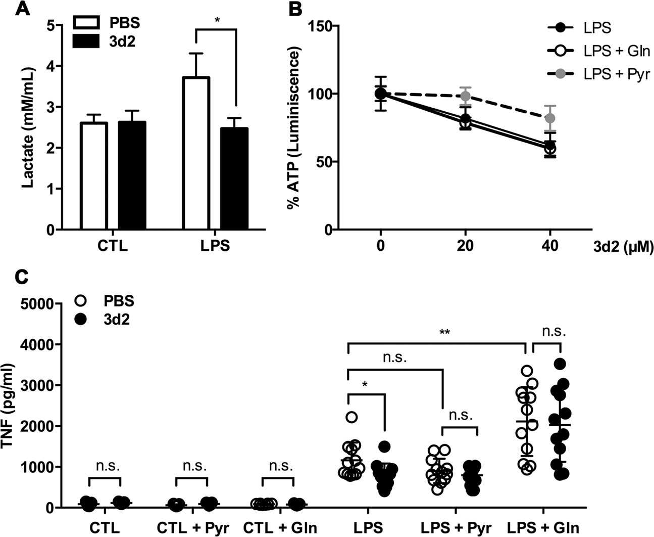 Fig. 5: LRH-1 inhibition limits glycolysis and glutaminolysis in RAW 264.7 cells.