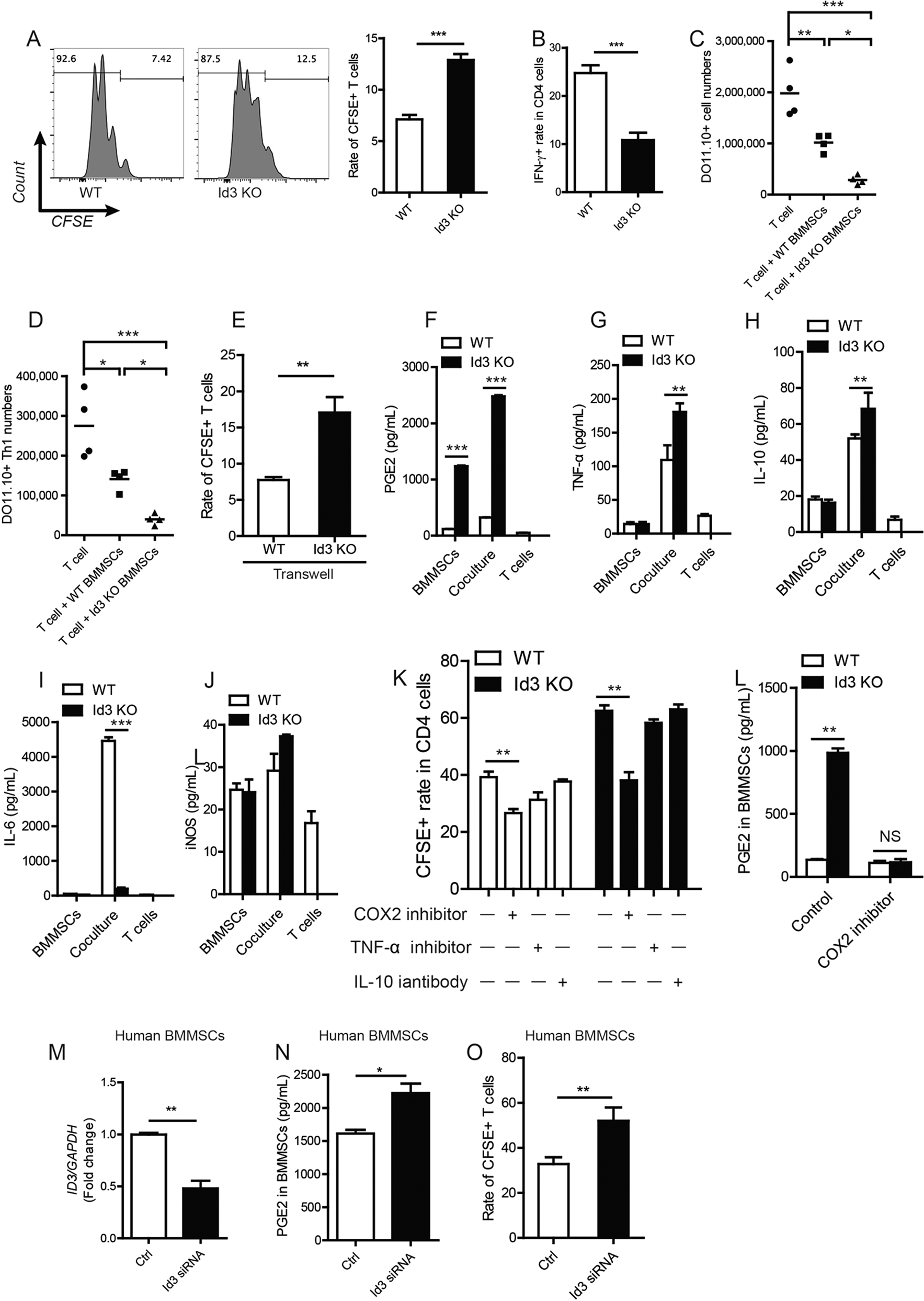 Fig. 1: Id3−/− BMMSCs enhanced immunosuppression of Id3-deficient BMMSCs to T-cell proliferation and IFN-gamma production in vitro and in vivo.