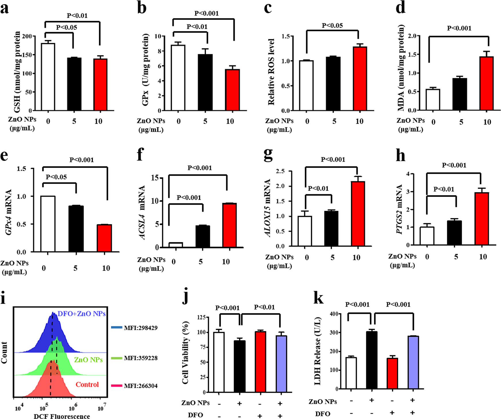 Fig. 1: ZnO NPs trigger oxidative stress-dependent, iron-mediated ferroptosis.