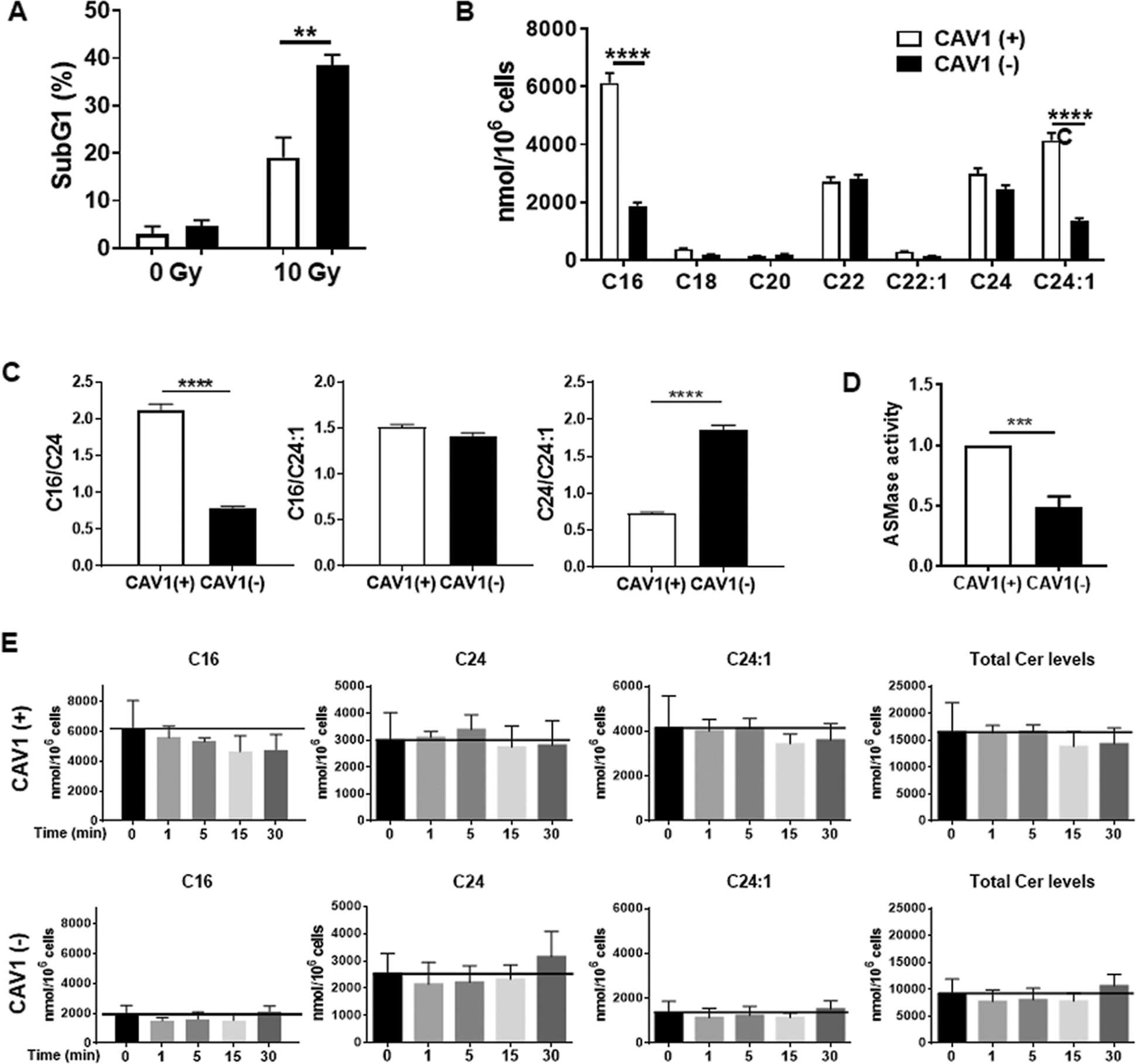 Fig. 6: Radiation-resistant CAV1(+) PC3 cells are characterized by higher levels of total ceramide, which correlated with an increased ASMase activity.