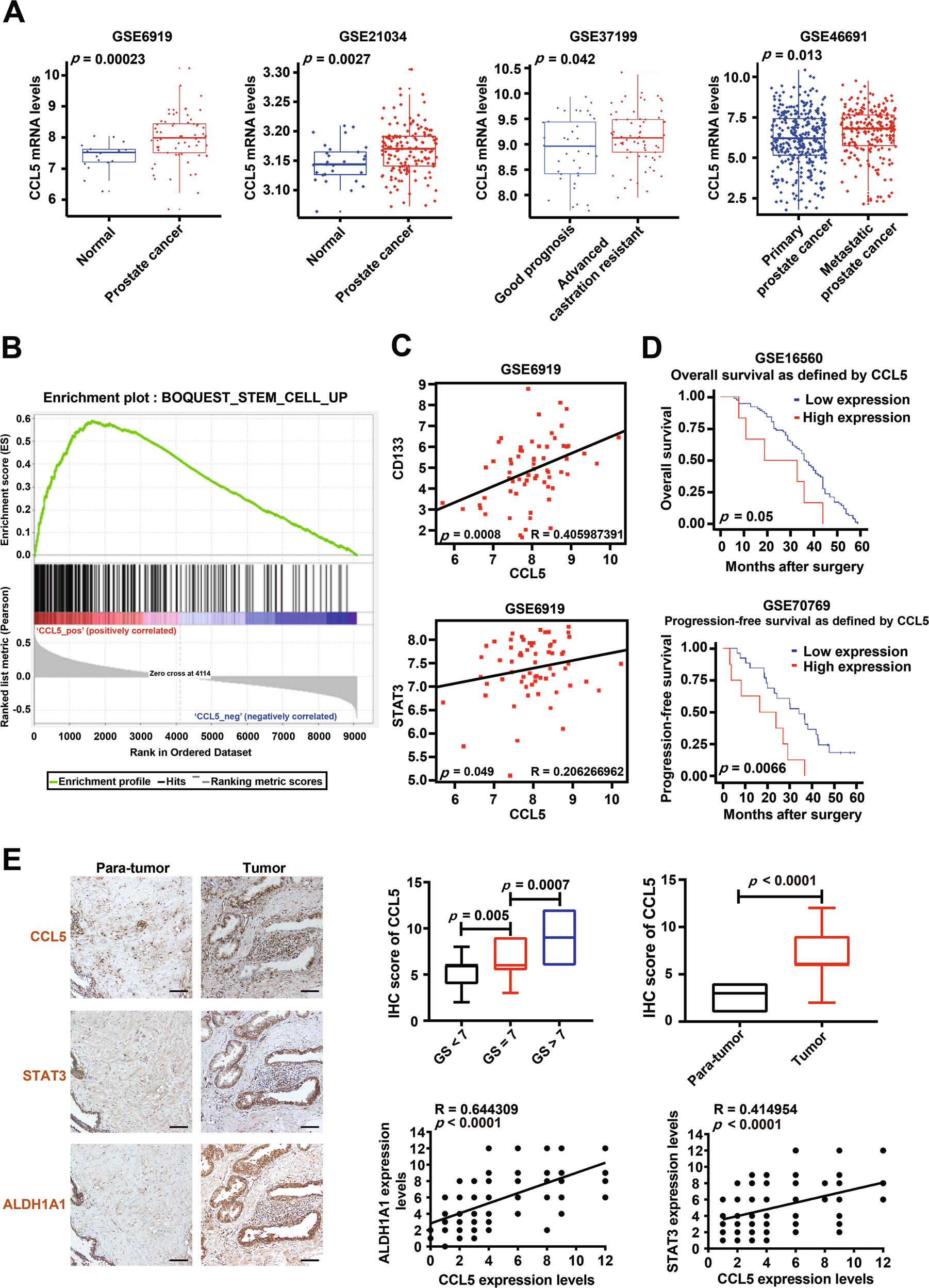 Fig. 7: The clinical significance of CCL5 in predicting prostate cancer prognosis.