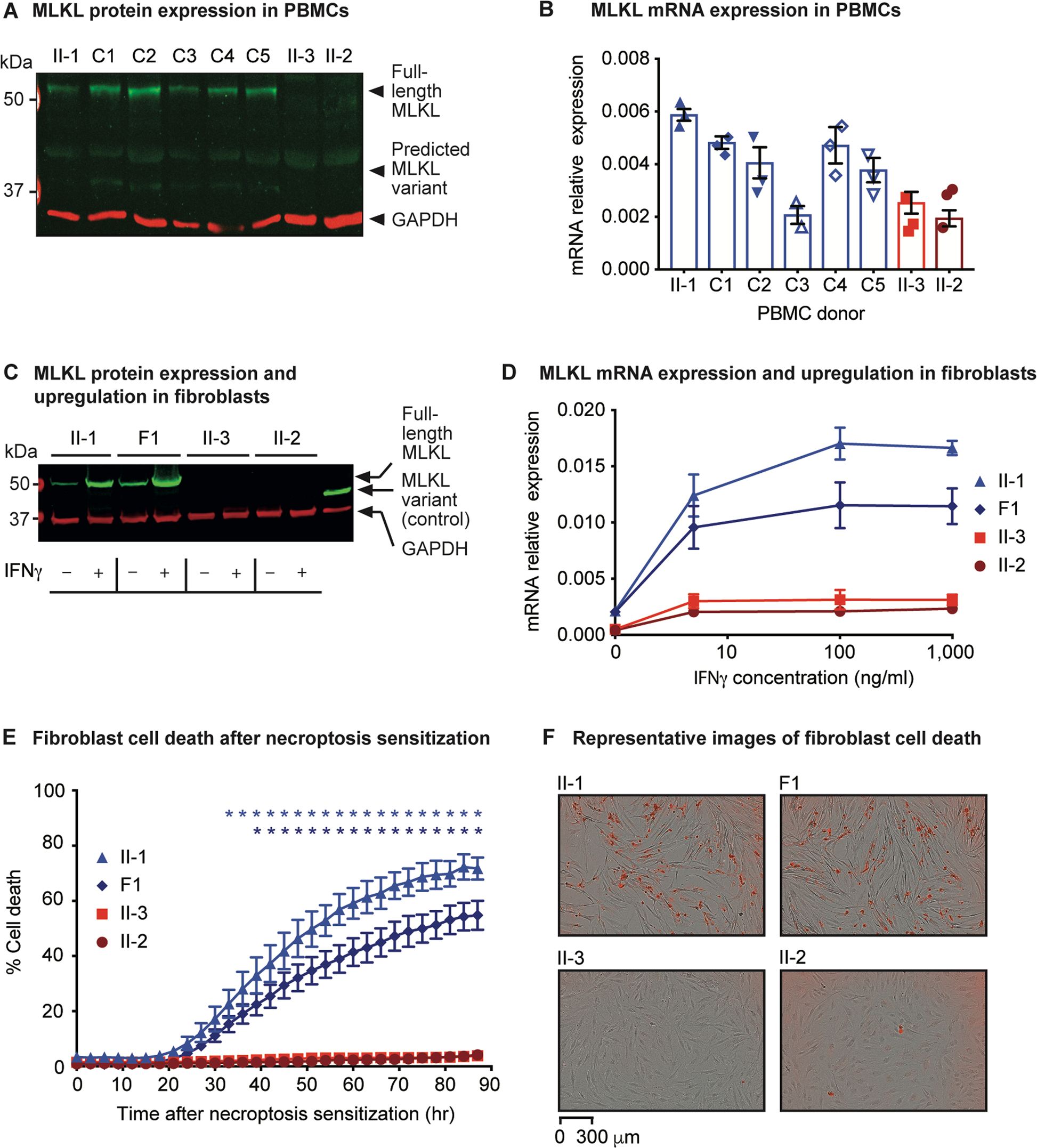 Fig. 4: MLKL variant expression and effect on necroptosis.