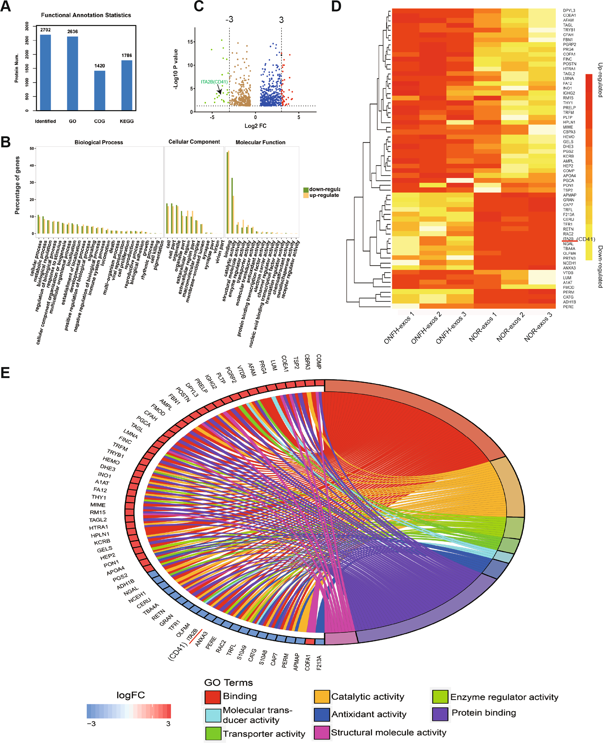 Fig. 6: GO analysis of the identified DEPs and cluster analysis of notable DEPs.