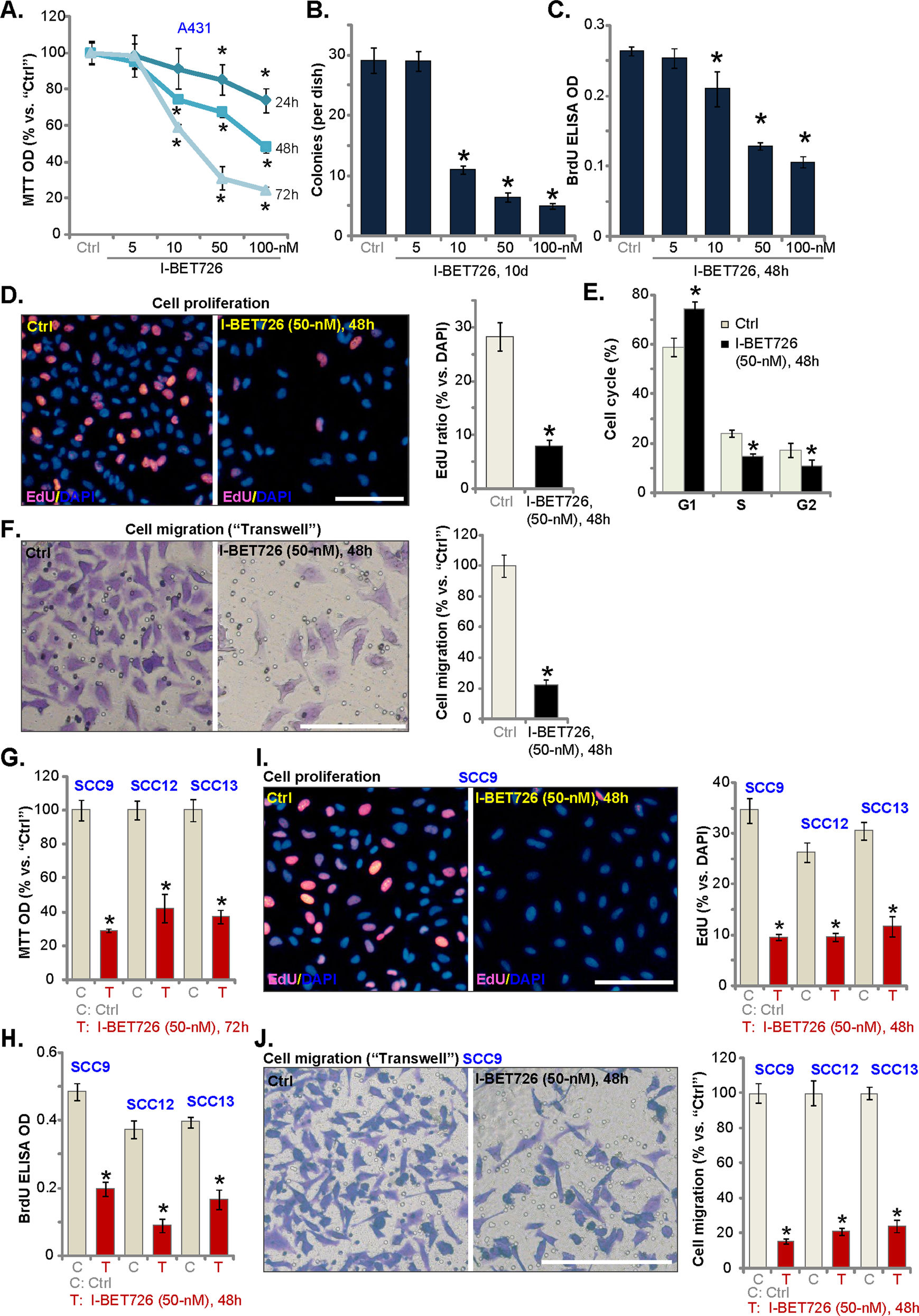 Fig. 1: I-BET726 inhibits survival, proliferation, cell cycle progression, and migration in established SCC cells.