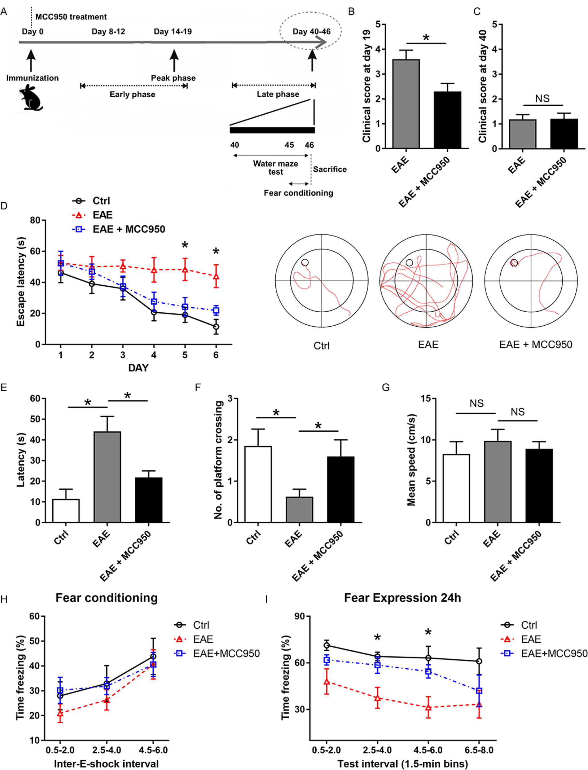 Fig. 2: Effects of the NLRP3 inflammasome on behavioral performance in EAE mice.