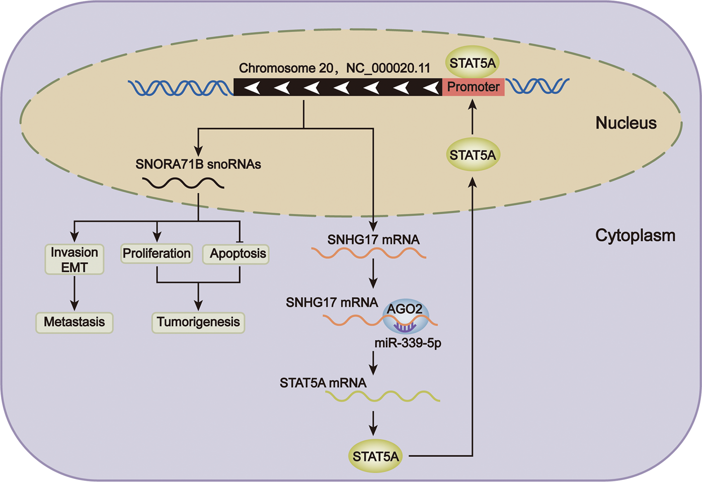 Fig. 8: Graphical abstract.