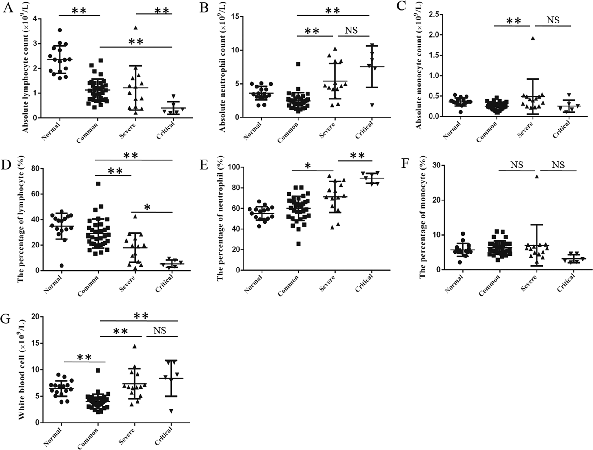 Fig. 1: The blood routine analysis in patients with COVID-19 pneumonia.