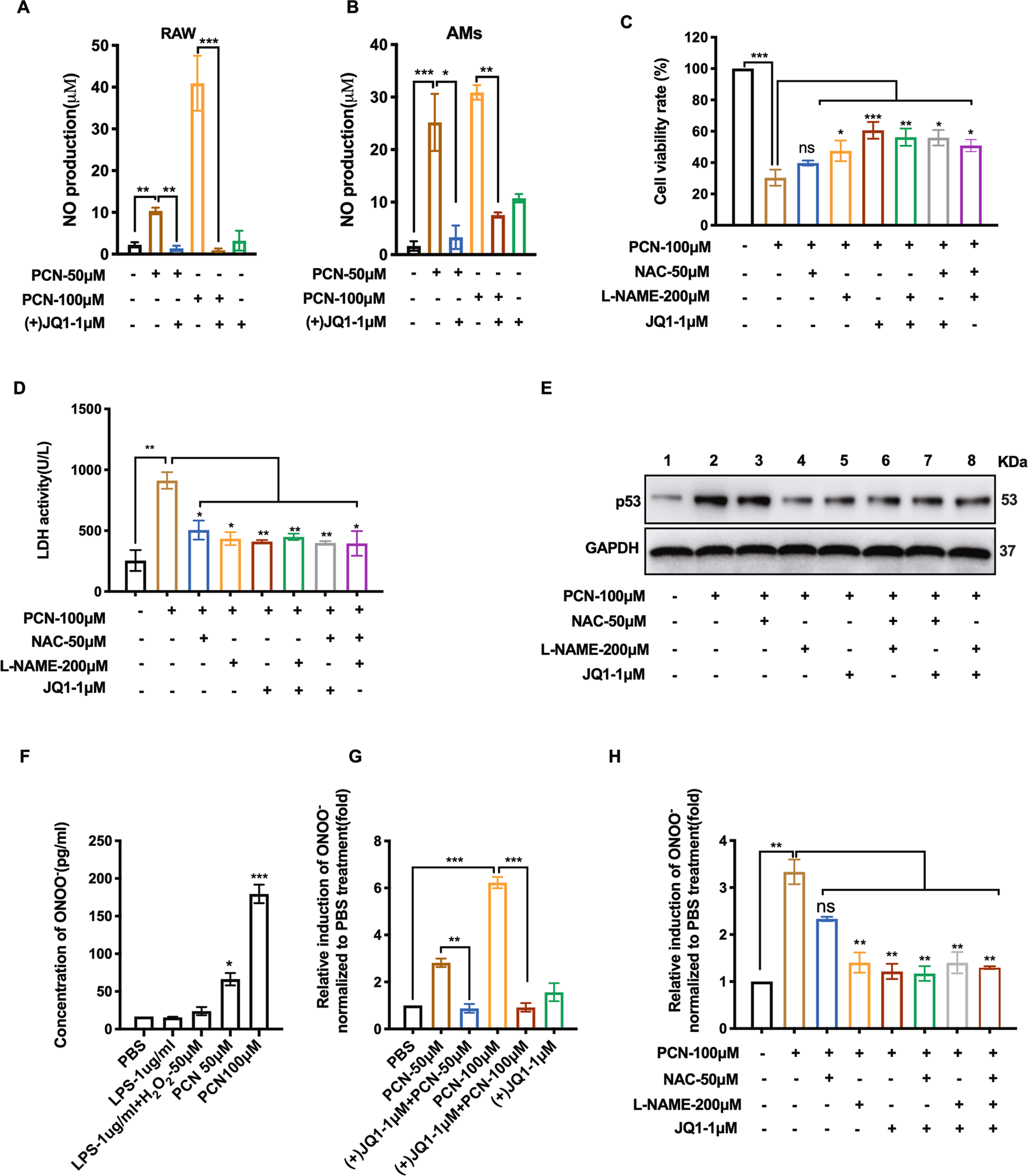 Fig. 3: (+)JQ1 repressed PCN-induced RNS production.