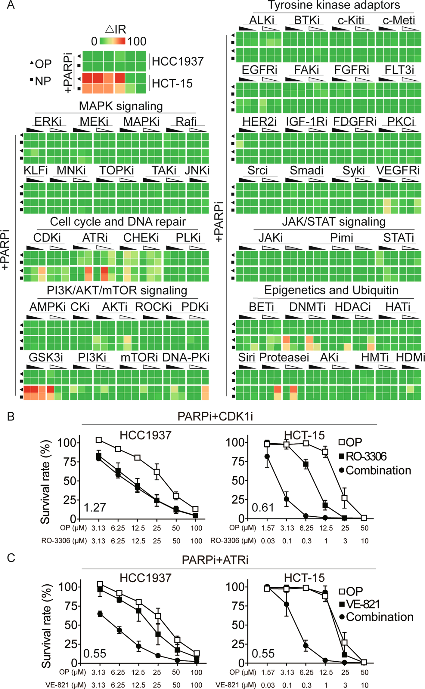 Glycogen Synthase Kinase 3b Inhibition Synergizes With Parp Inhibitors Through The Induction Of Homologous Recombination Deficiency In Colorectal Cancer Cell Death Disease
