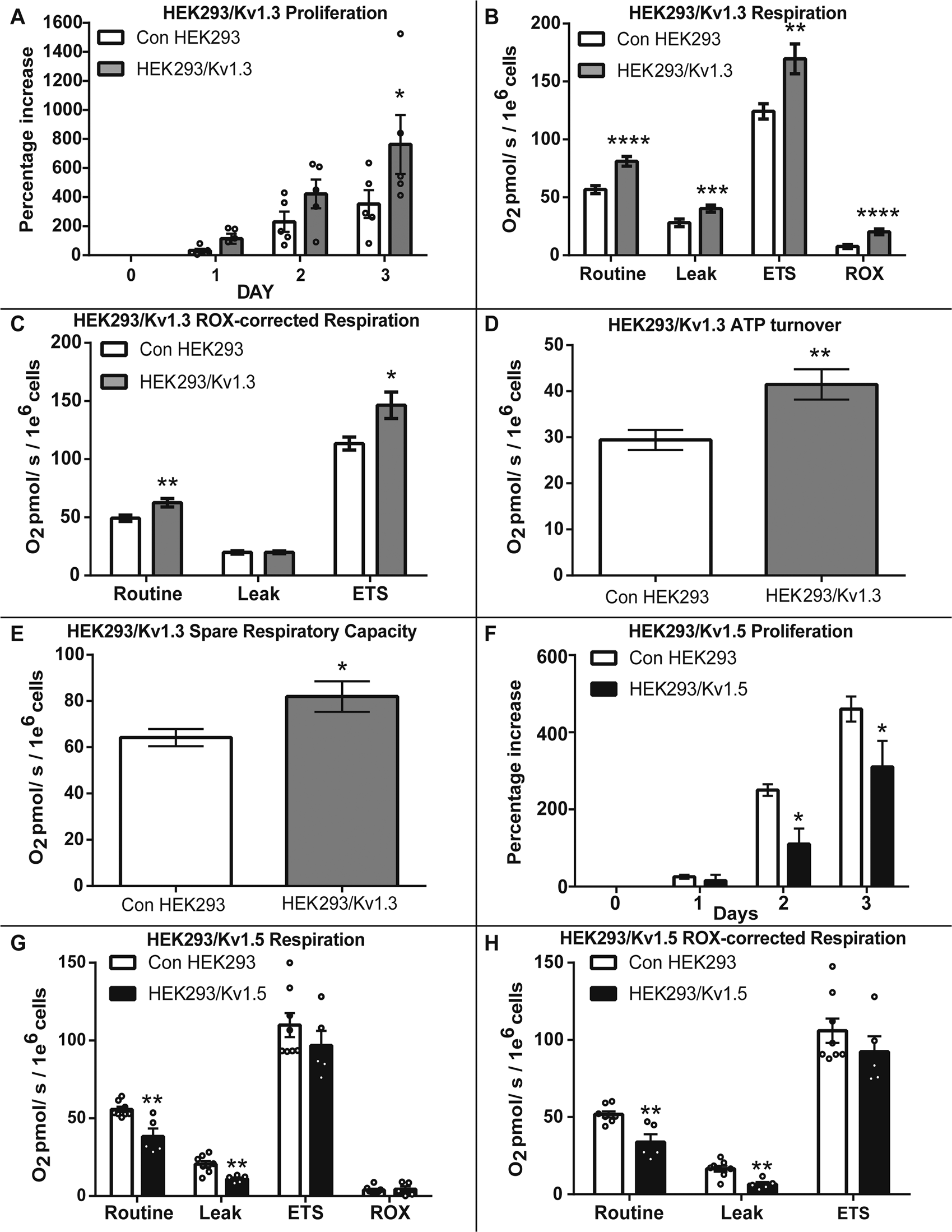 Fig. 1: Kv1.3 expression increases cellular proliferation and respiration.