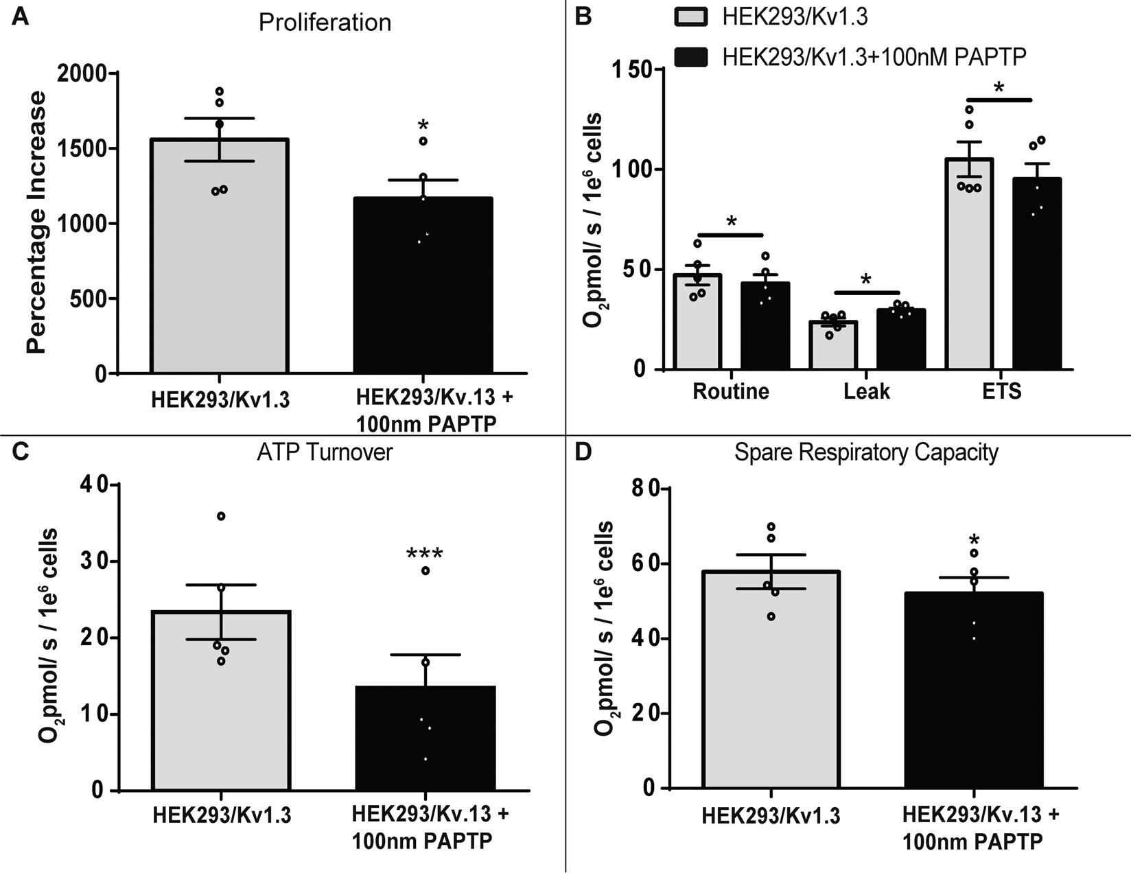 Fig. 4: Intracellular Kv1.3 channels regulate proliferation and respiration.