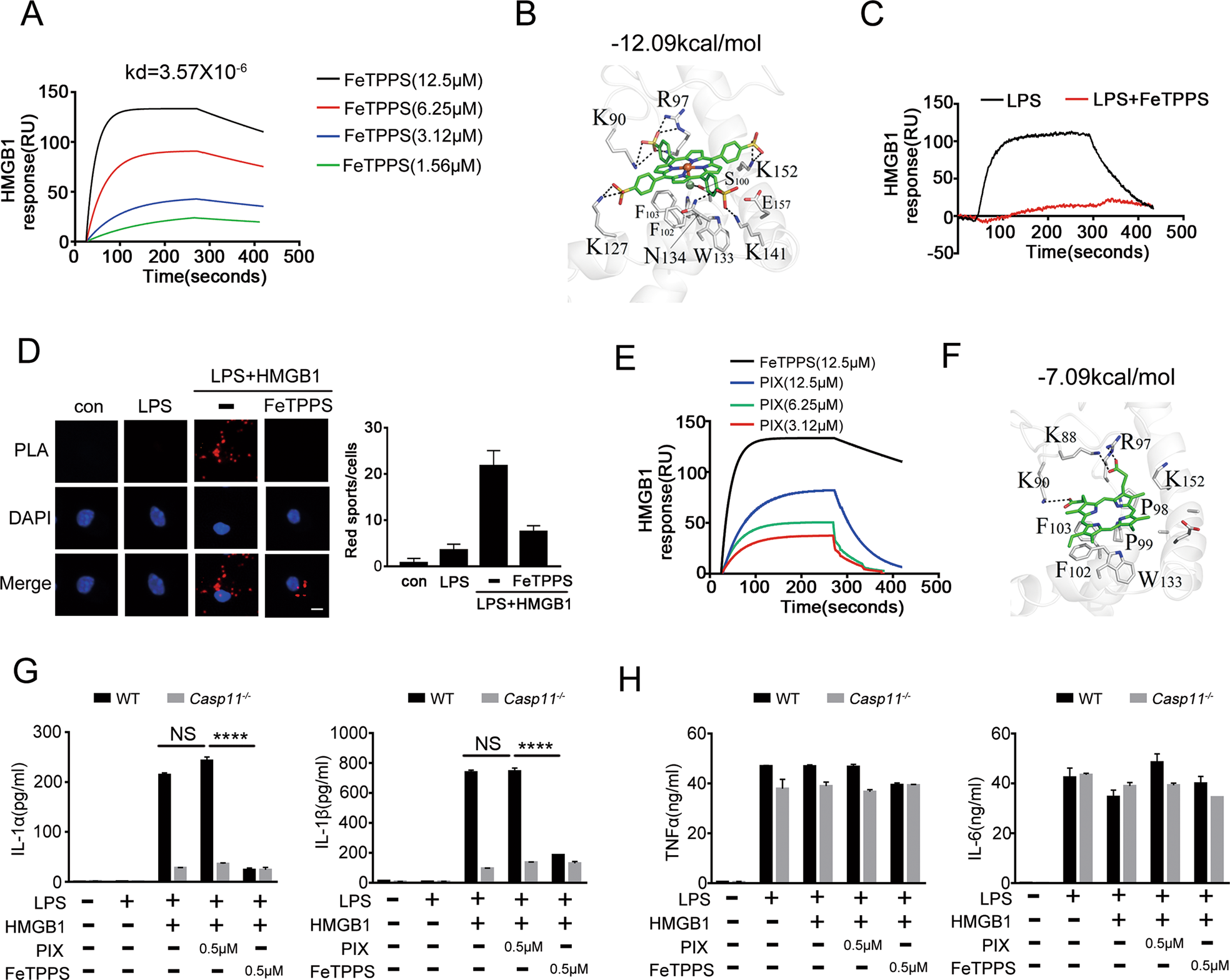 Fig. 5: FeTPPS disrupts the HMGB1-LPS binding.
