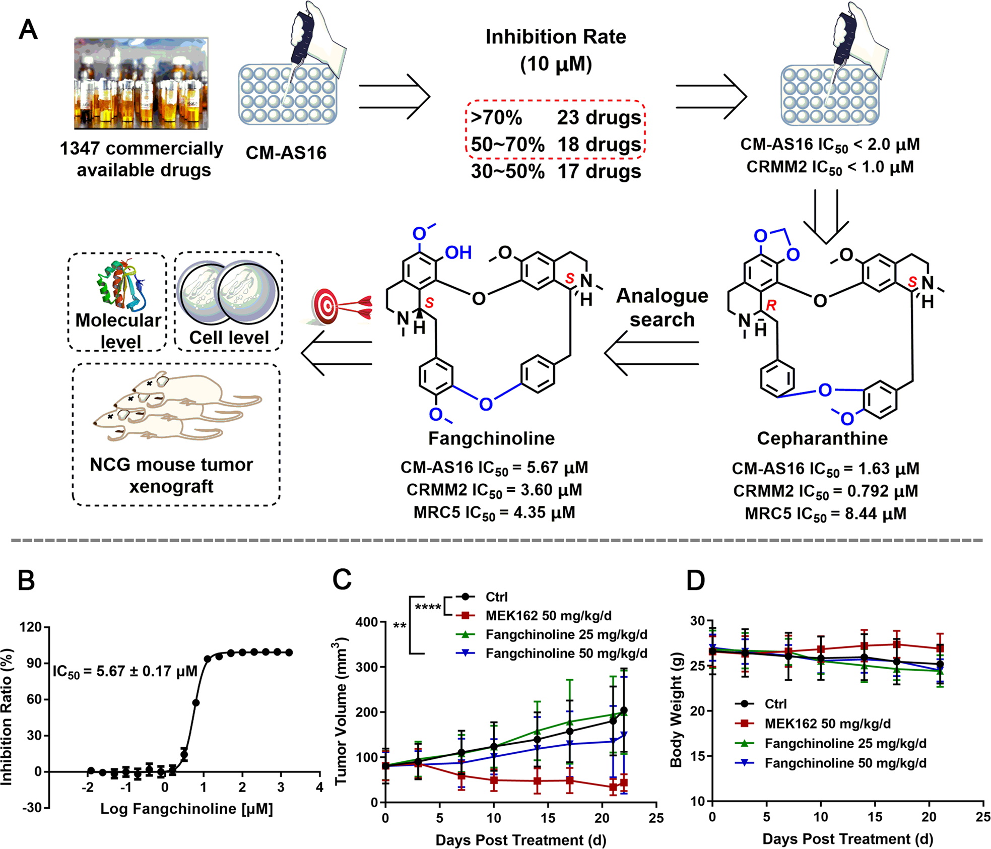 Fig. 1: Therapeutic efficacy of fangchinoline in vitro and in vivo.