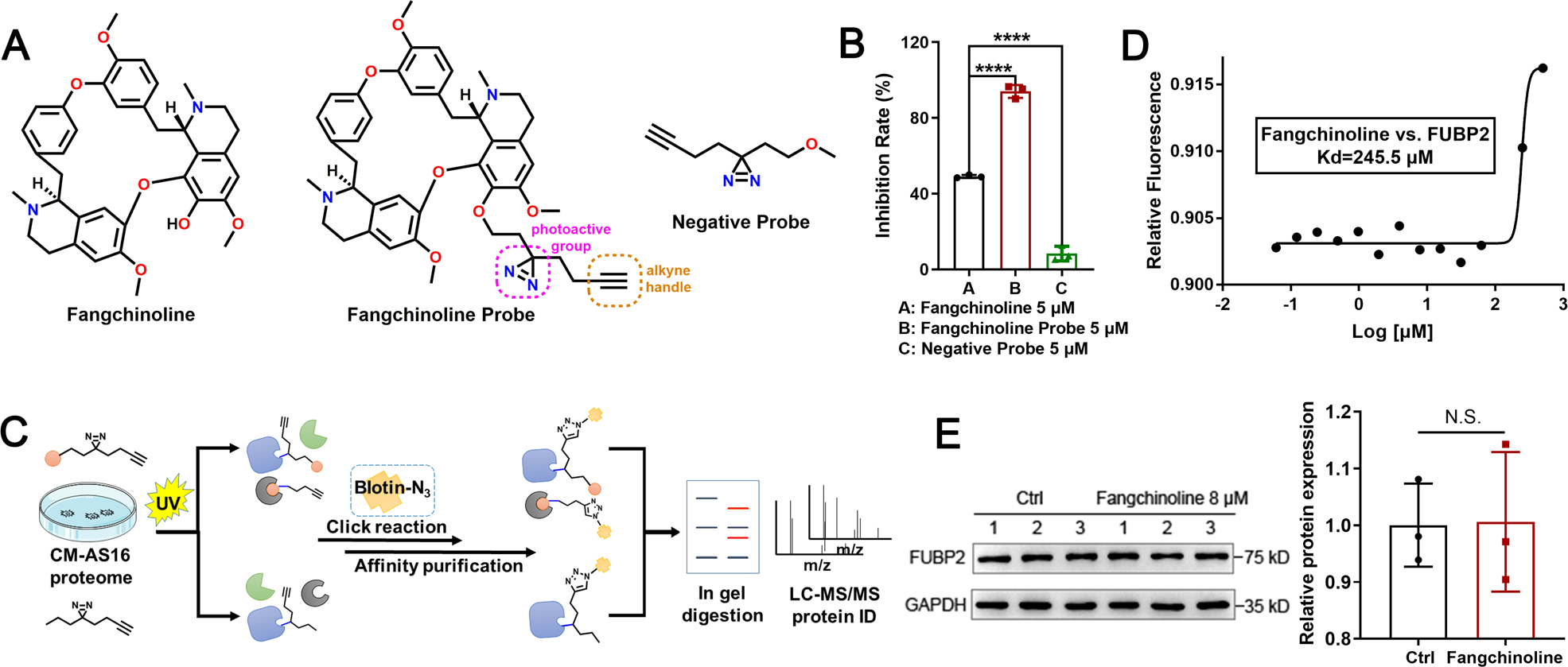 Fig. 3: Target search and verification of fangchinoline.