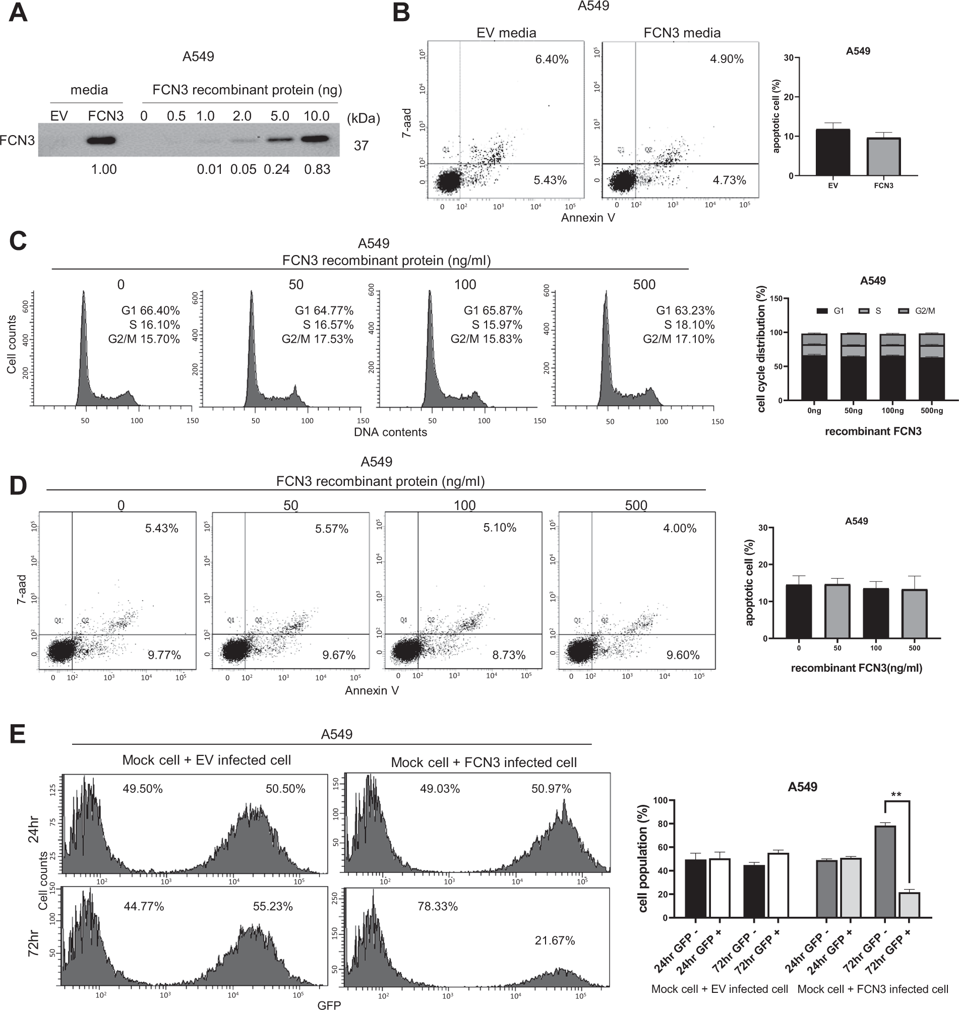 Fig. 4: Tumor suppressor activity of FCN3 involves an intracellular mechanism.