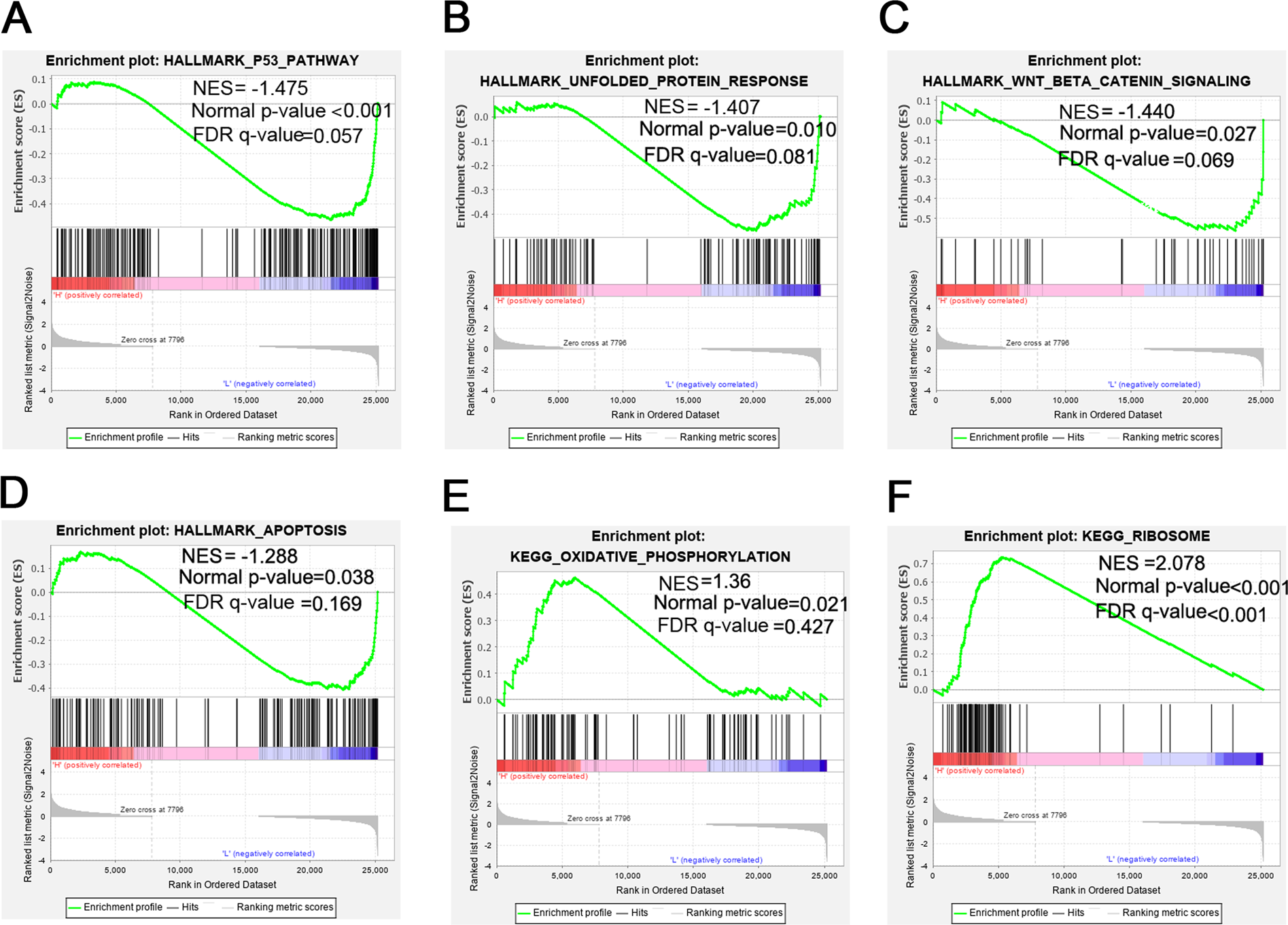 Fig. 2: Gene set enrichment analysis based on the microarray dataset GSE81429.