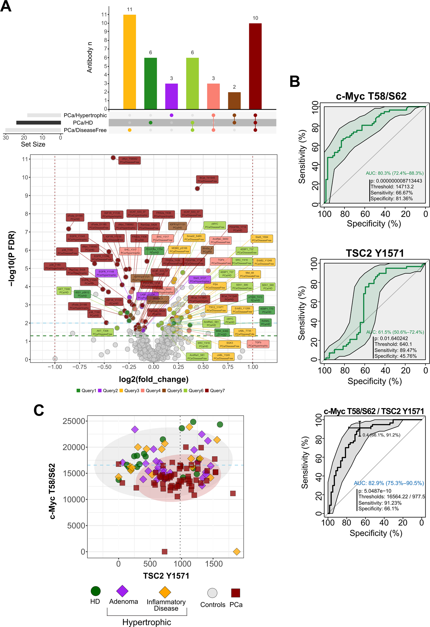 Fig. 4: Group comparisons and biomarker analysis on the training cohort.
