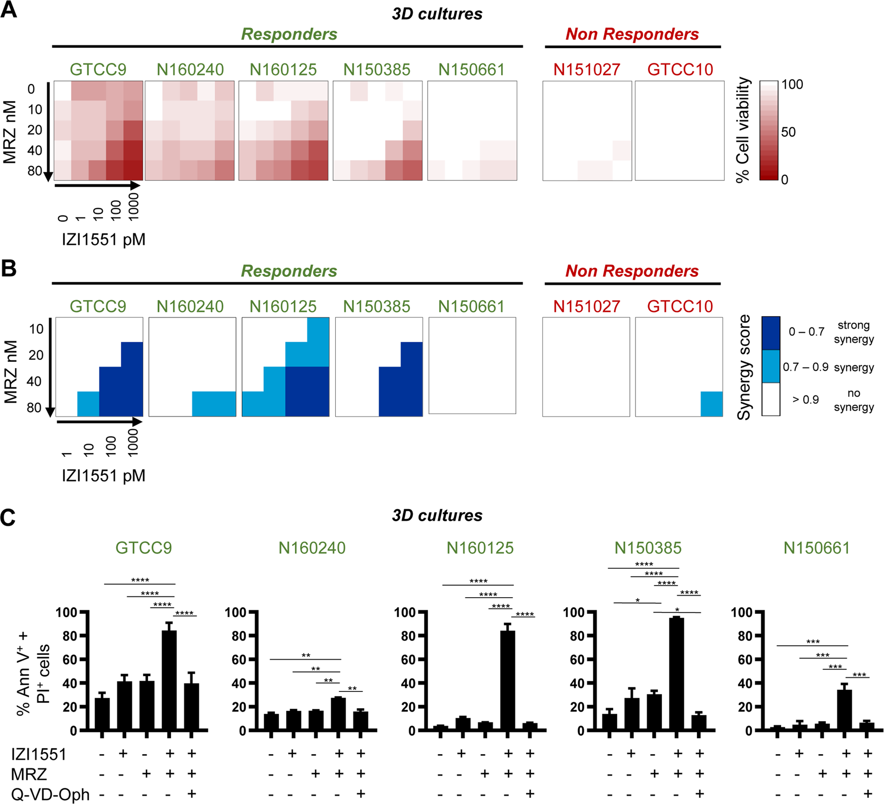 Fig. 2: IZI1551+marizomib co-treatments are effective in 3D tumor cell spheroid models.