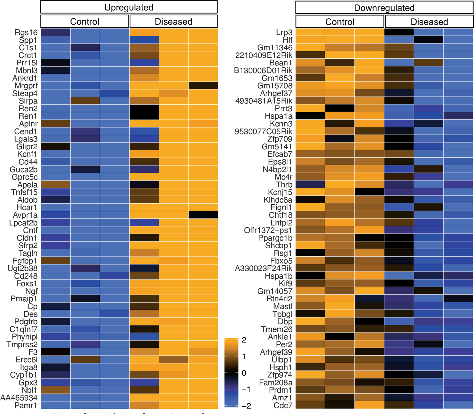 Fig. 2: Differentially expressed genes in isolated GECs from diseased vs. control mice.