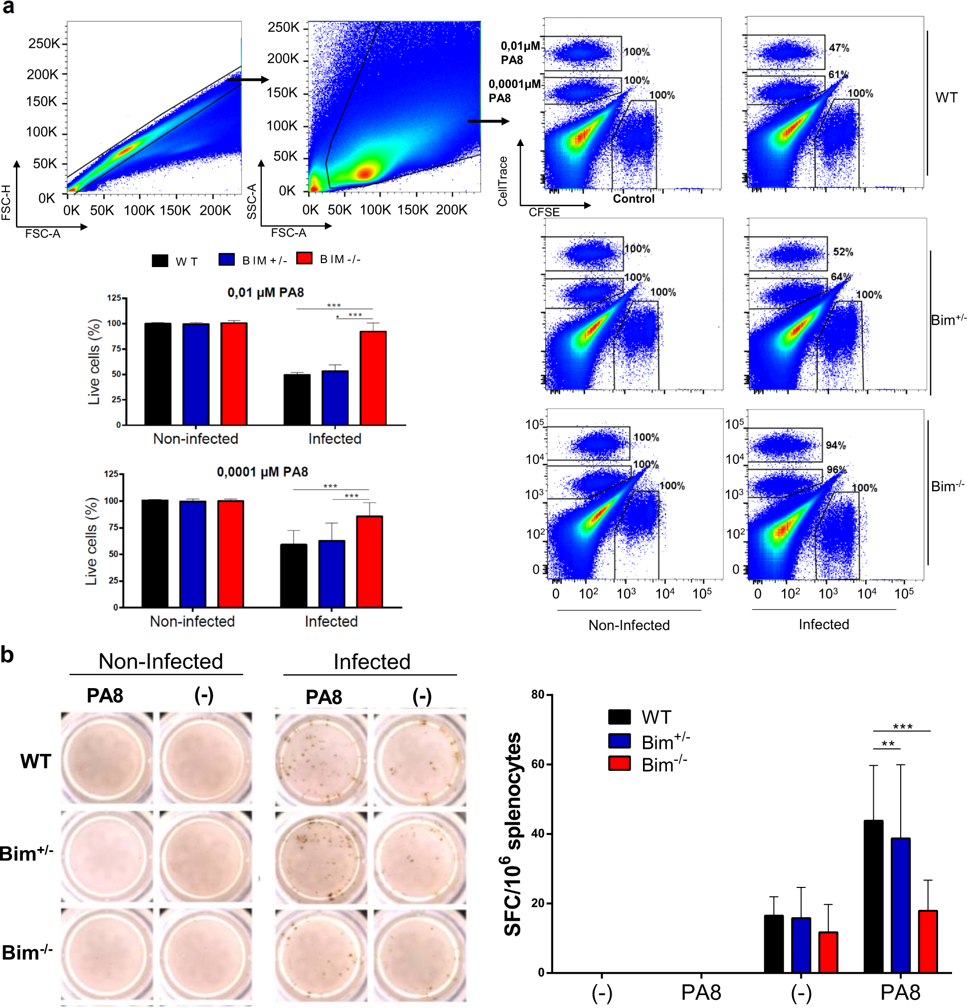 Fig. 4: Bim−/− mice have impaired antigen-specific CD8+ T cells response against T. cruzi in the acute phase of infection.