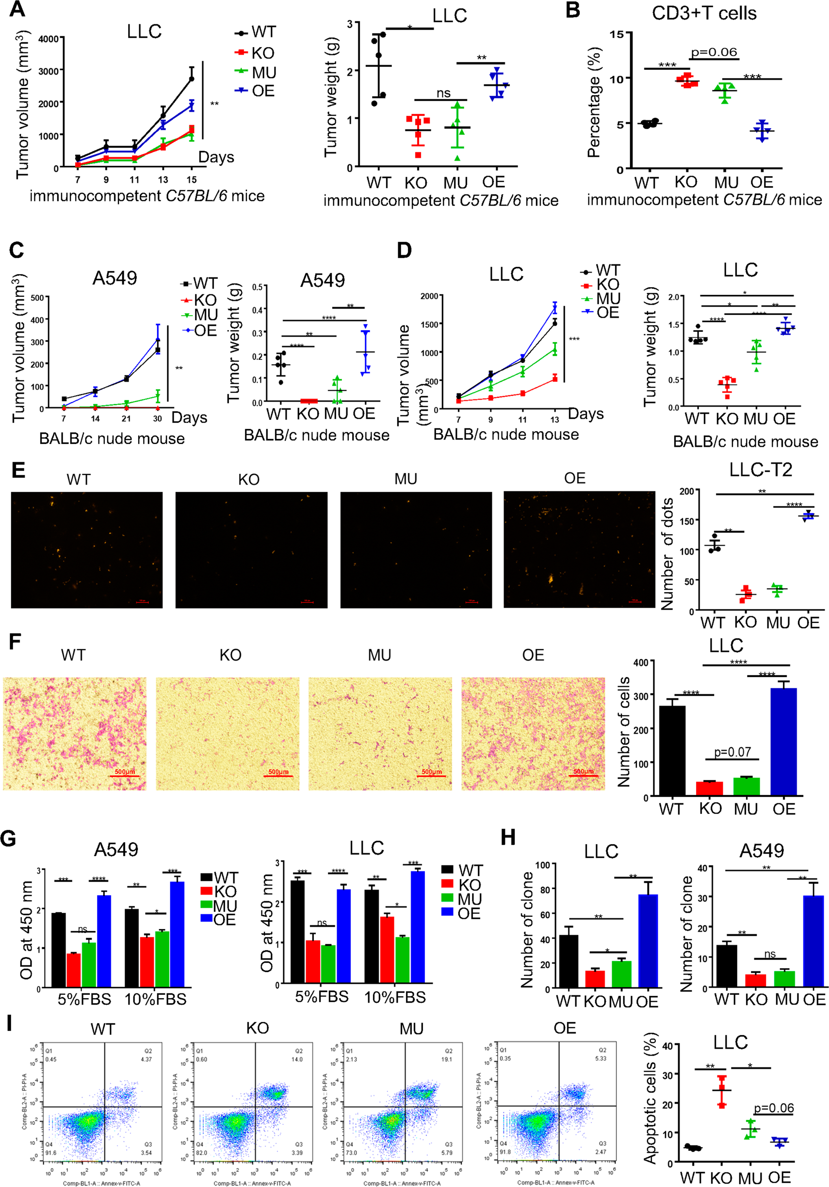 Fig. 2: The enzymatic activity of CD38 was vital for cell proliferation, migration, and tumor progression.