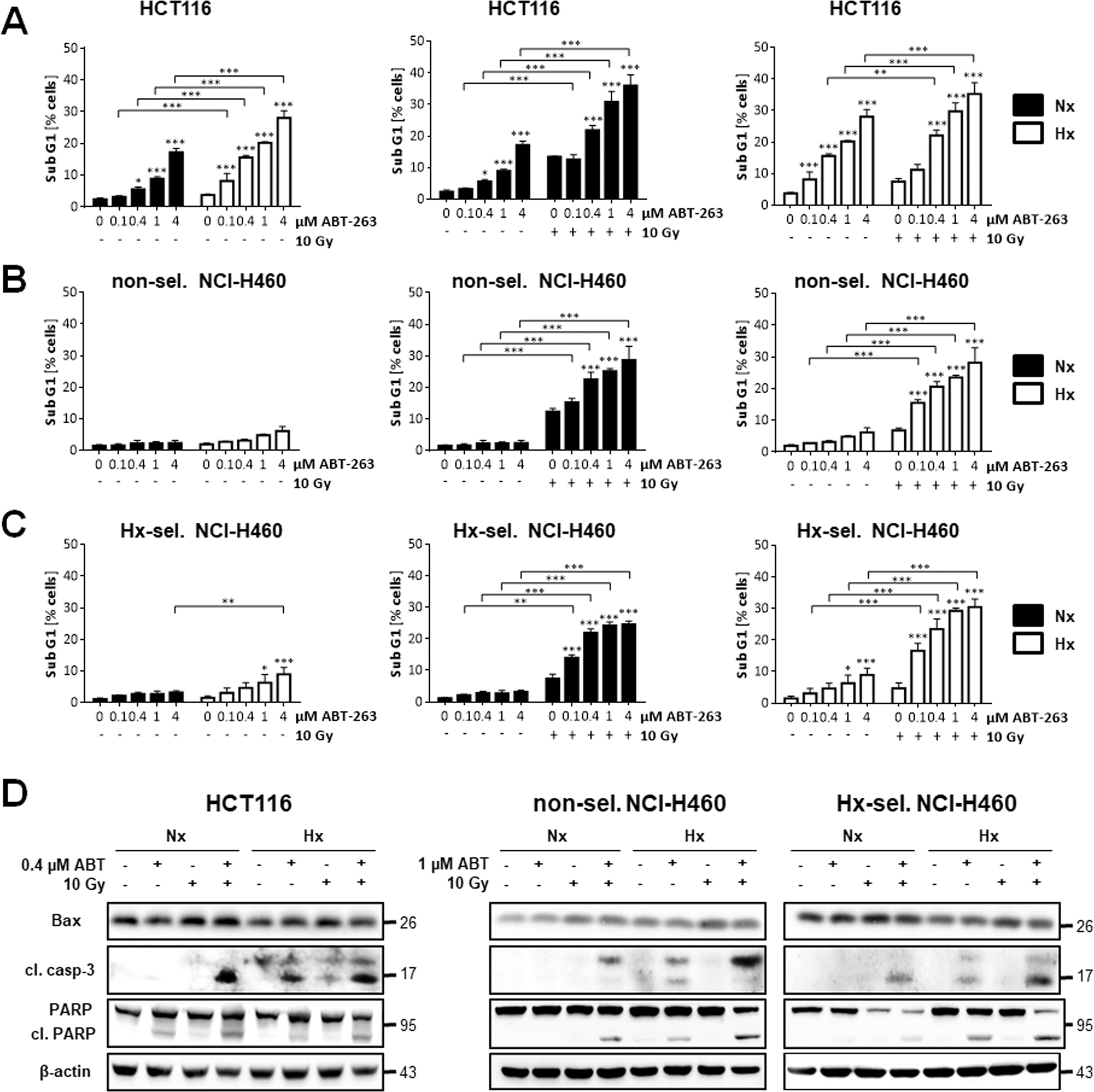 Fig. 2: ABT-263 induces apoptosis and enhances radiation-induced apoptosis in HCT116 as well as non-selected and hypoxia-selected NCI-H460 cells.