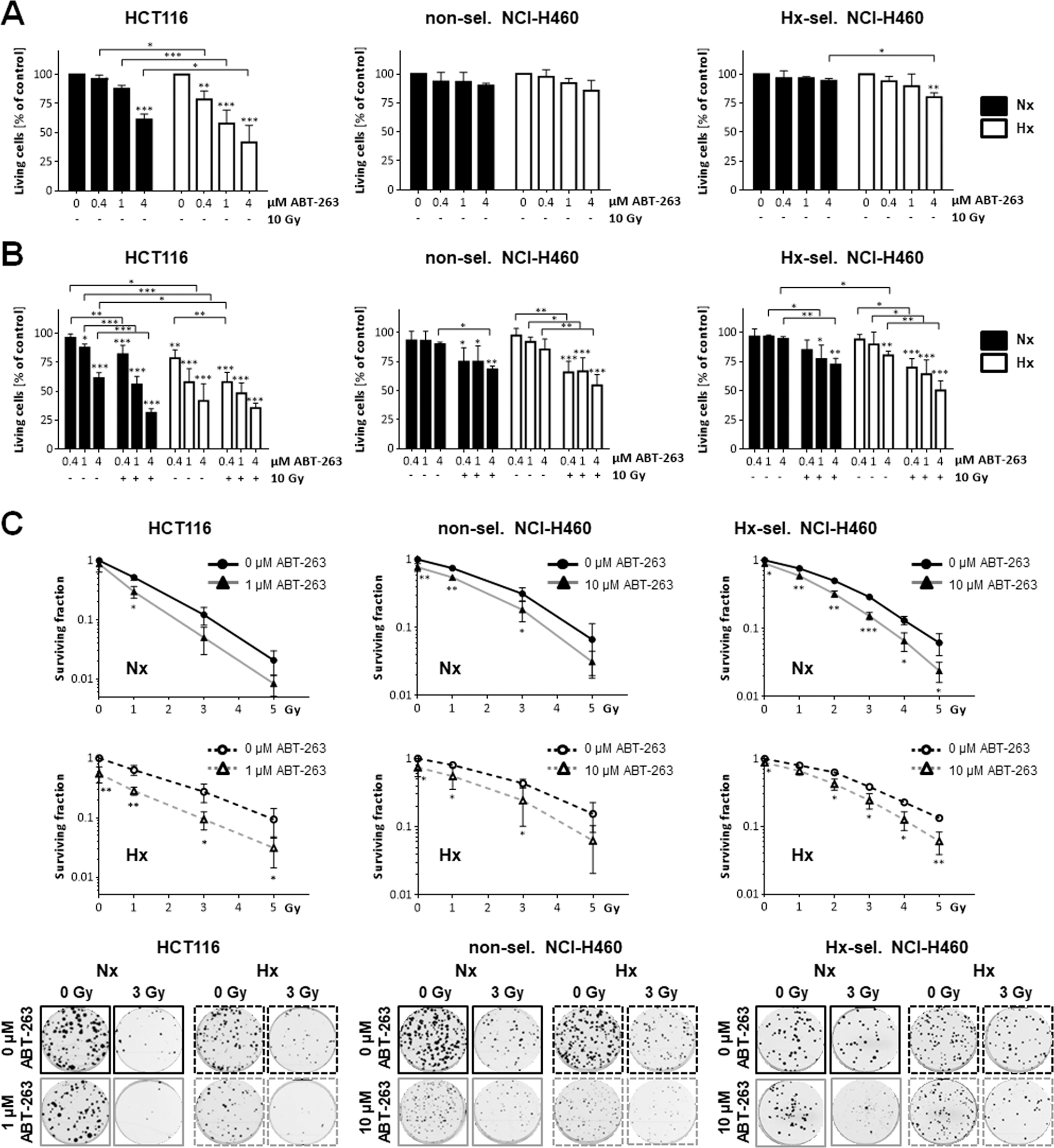Fig. 5: Combined treatment with ABT-263 and ionizing radiation reduces short-term and long-term-term survival in response to acute hypoxia in hypoxia-selected cells.