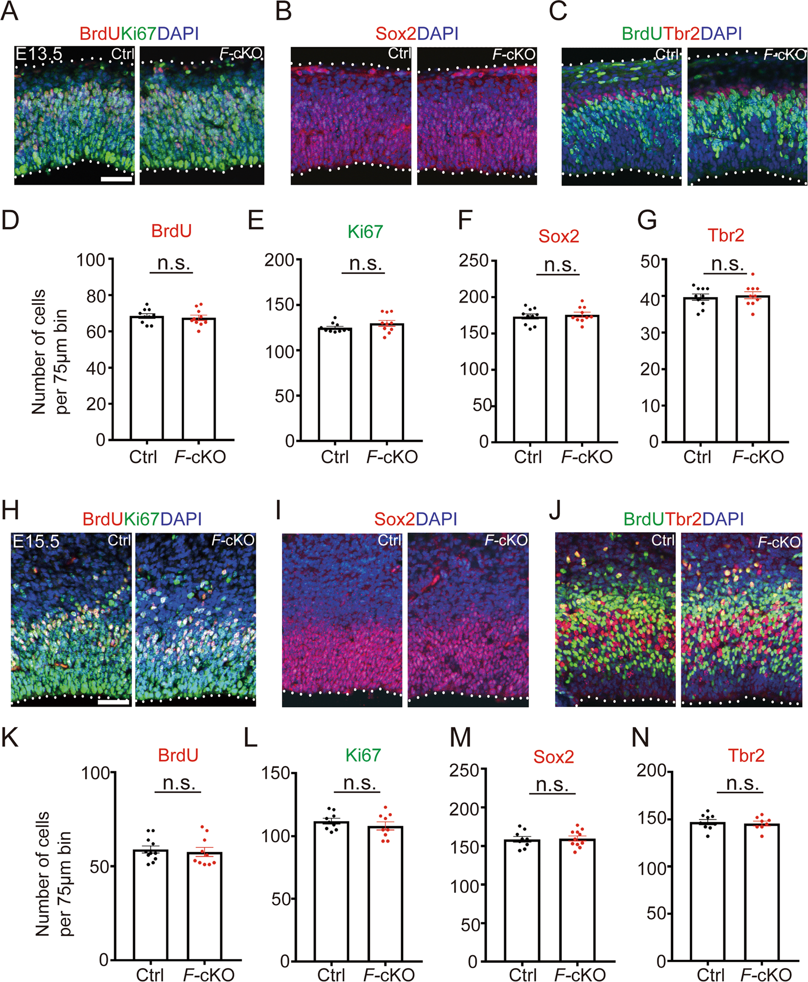 PDF) Translational derepression of Elavl4 isoforms at their alternative 5′  UTRs determines neuronal development