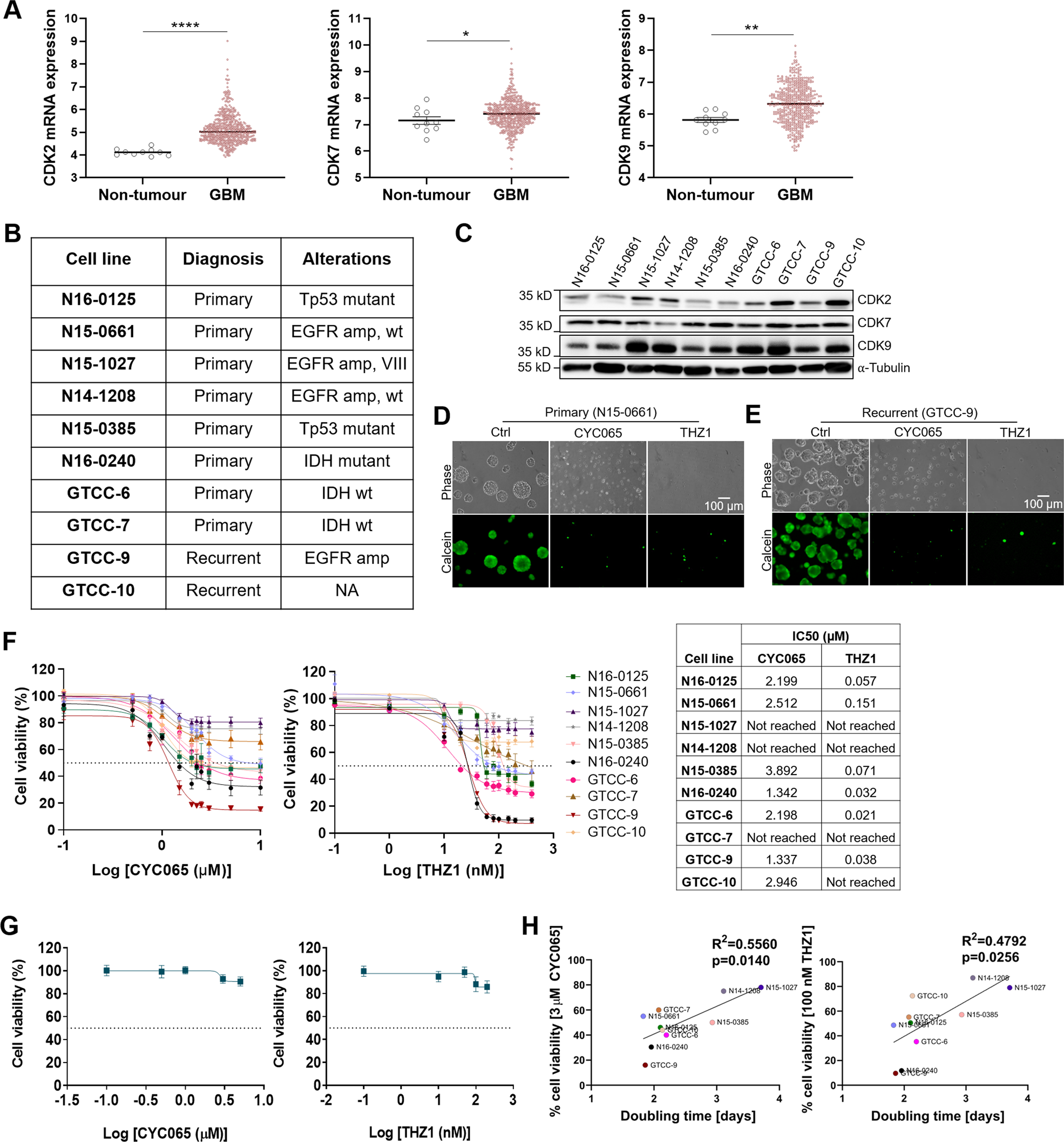 Transcriptional Cdk Inhibitors Cyc065 And Thz1 Promote Bim Dependent Apoptosis In Primary And Recurrent Gbm Through Cell Cycle Arrest And Mcl 1 Downregulation Cell Death Disease
