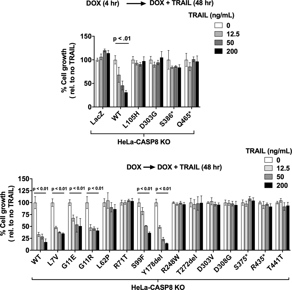 Fig. 4: HNSCC-associated caspase-8 mutants display differential capacities to mediate TRAIL-induced cell death.
