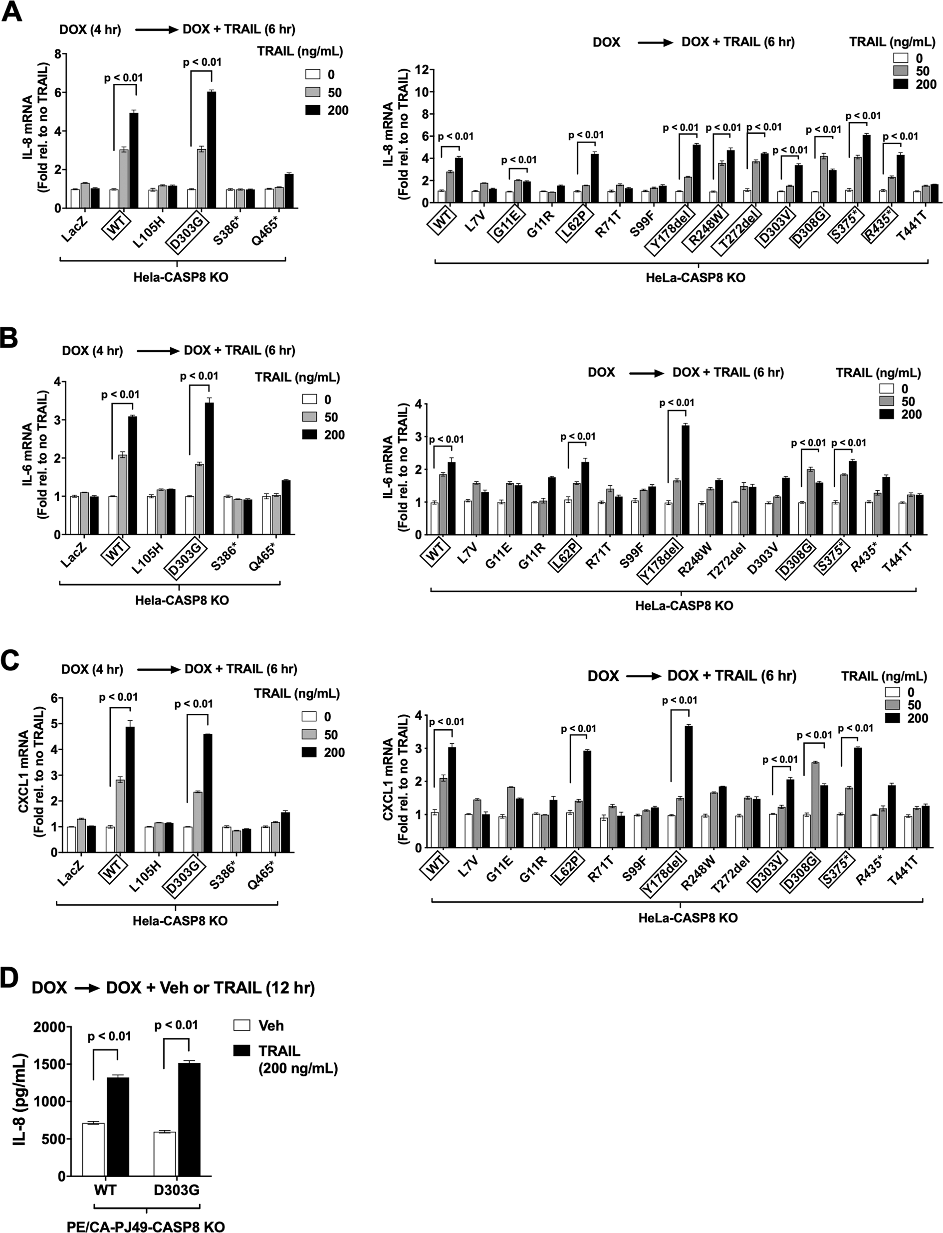 Fig. 6: HNSCC-associated caspase-8 mutants exhibit differential capacities to mediate induction of IL-8, IL-6, and CXCL1.