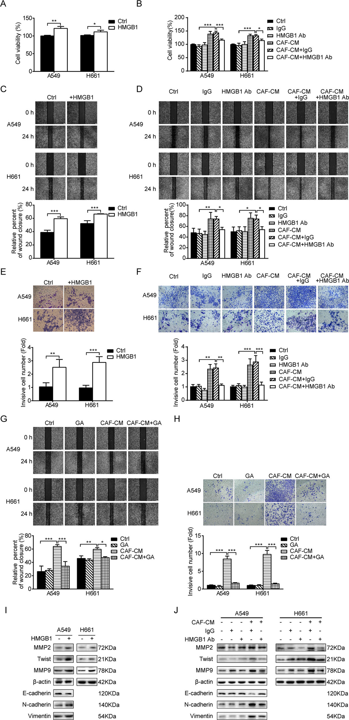 Fig. 6: HMGB1 mediates the effect of CAFs on lung cancer cell migration and invasion.
