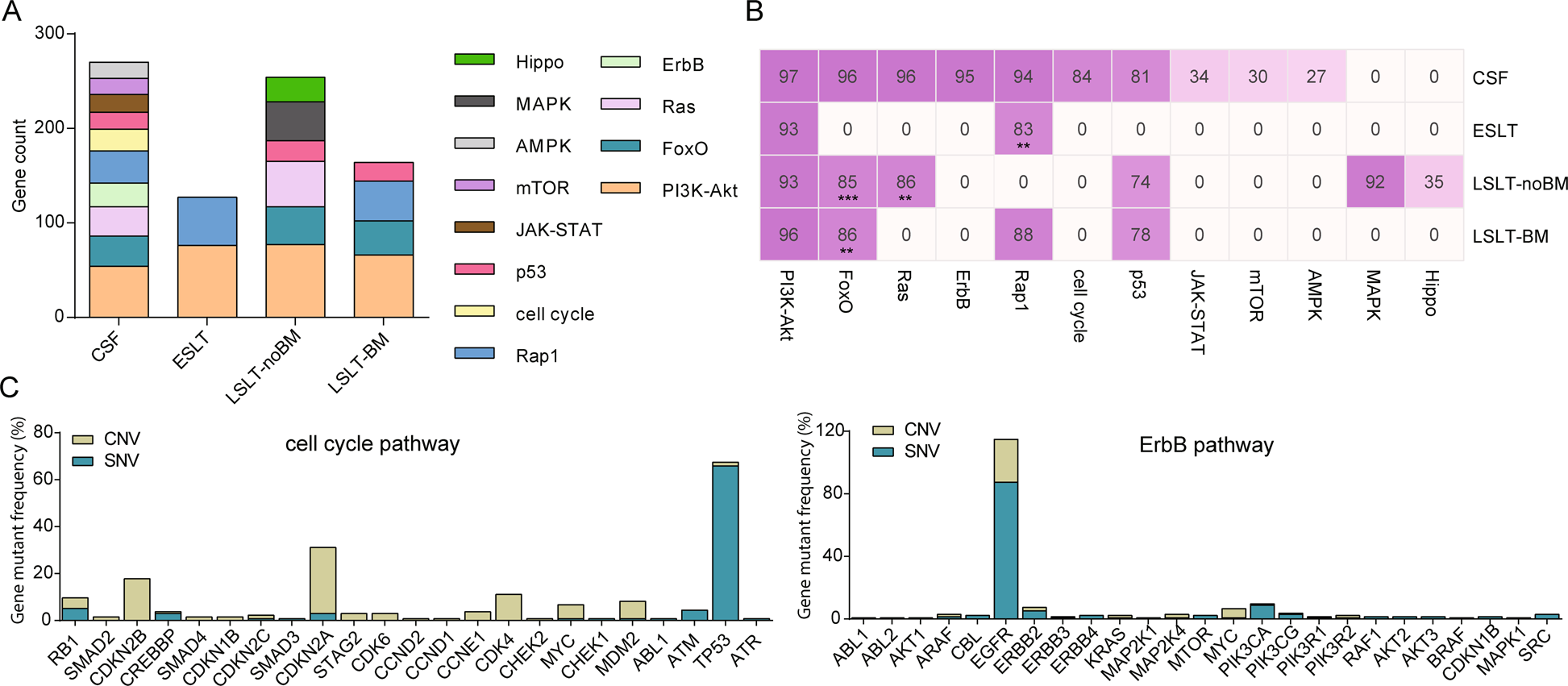 Fig. 5: Pathway differences between CSF and primary lesions.