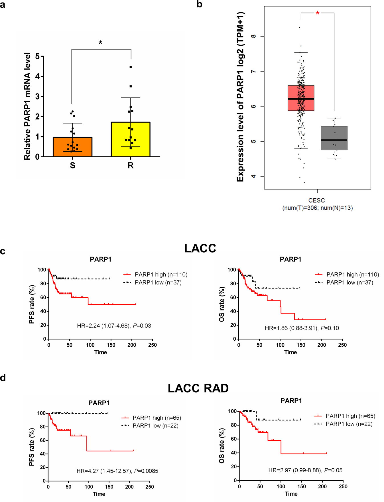 Fig. 6: PARP1 expression and prognosis in cervical cancer patients.