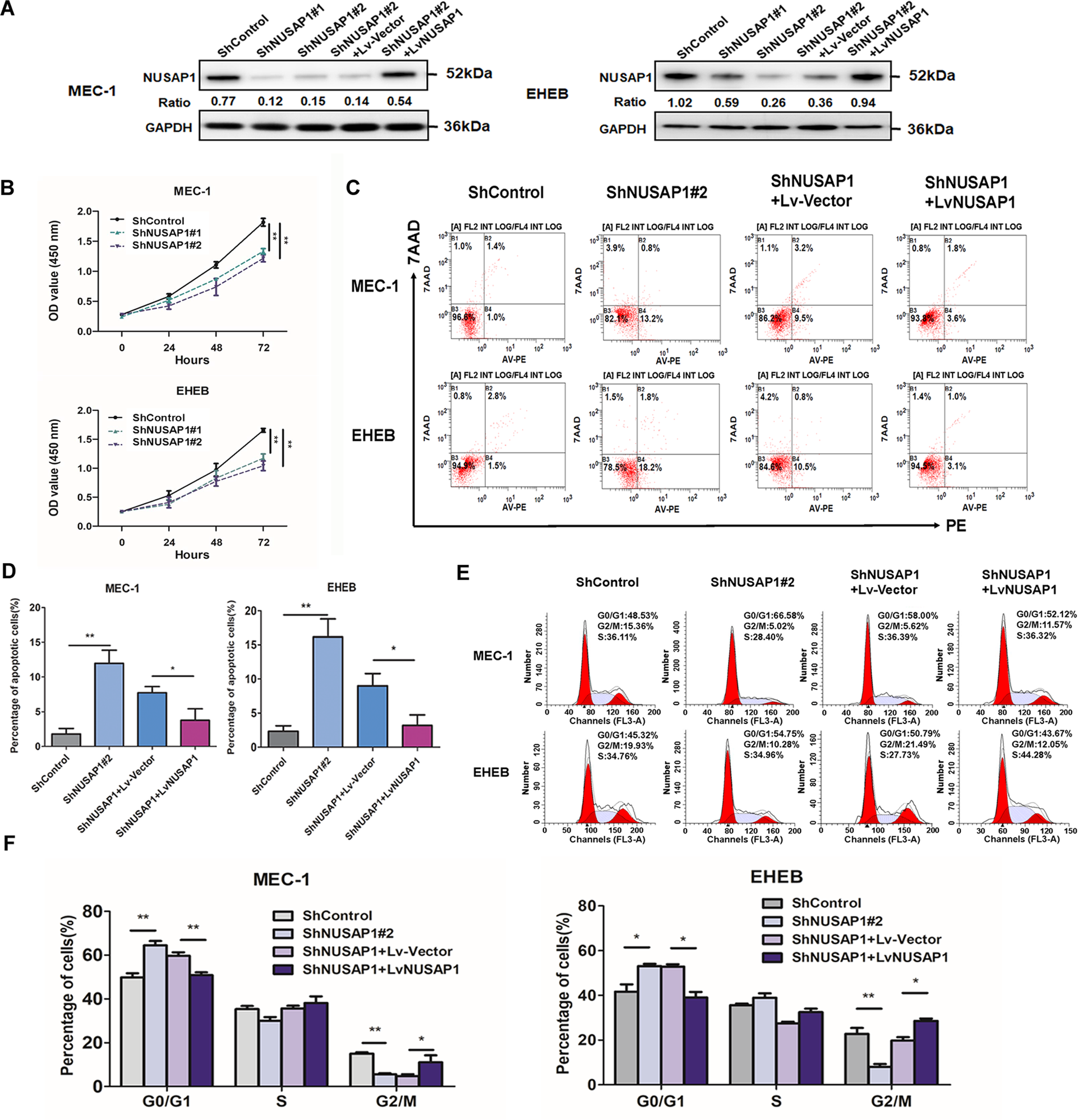 Fig. 3: Cell proliferation decline, apoptosis rising and cell cycle arrest accompanied with NUSAP1 silencing.