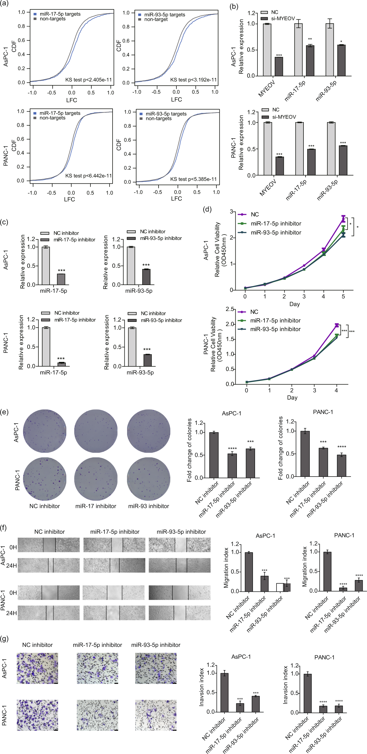 Fig. 5: Downregulation of miR-17-5p and miR-93-5p produces a similar effect as that observed with MYEOV depletion in PDAC cells.