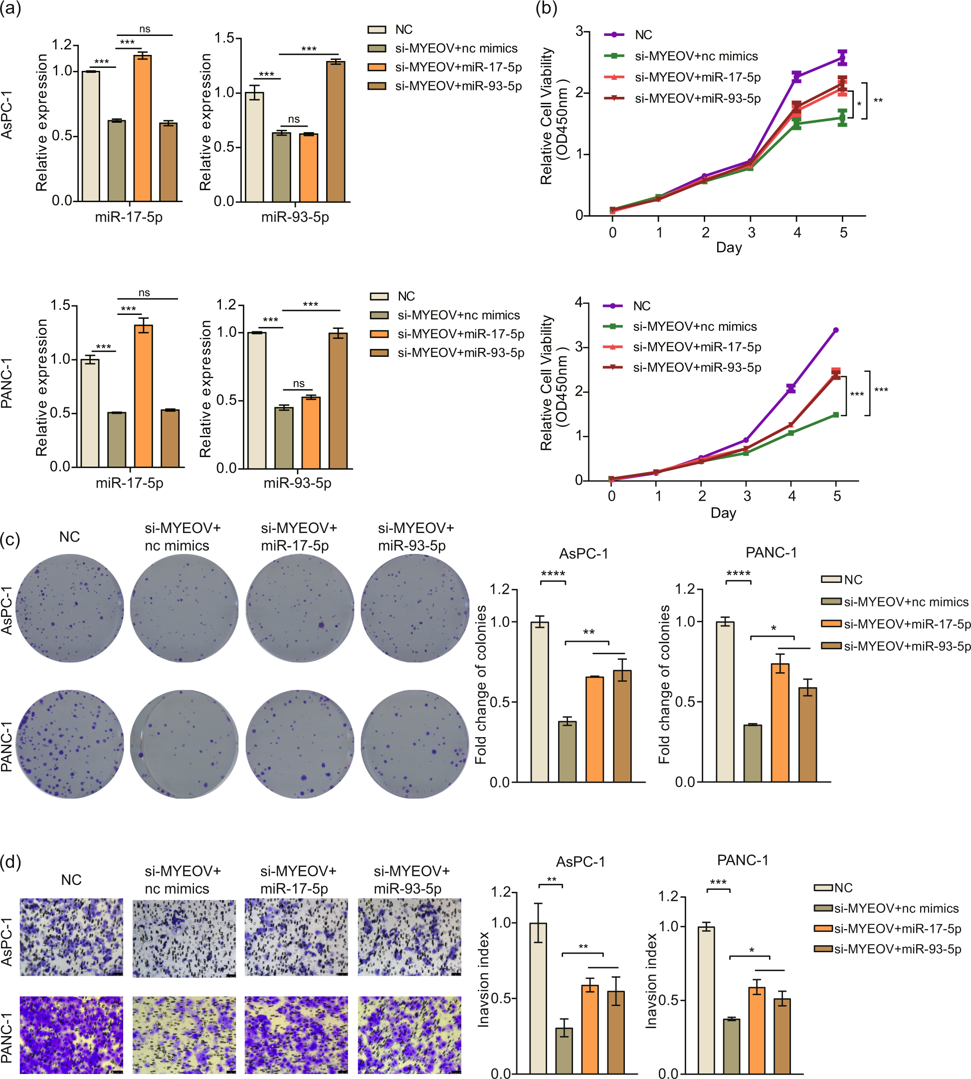 Fig. 6: Exogenous miR-17-5p and miR-93-5p expression partially reverses the reduction in cell proliferation, migration and invasion caused by MYEOV knockdown.