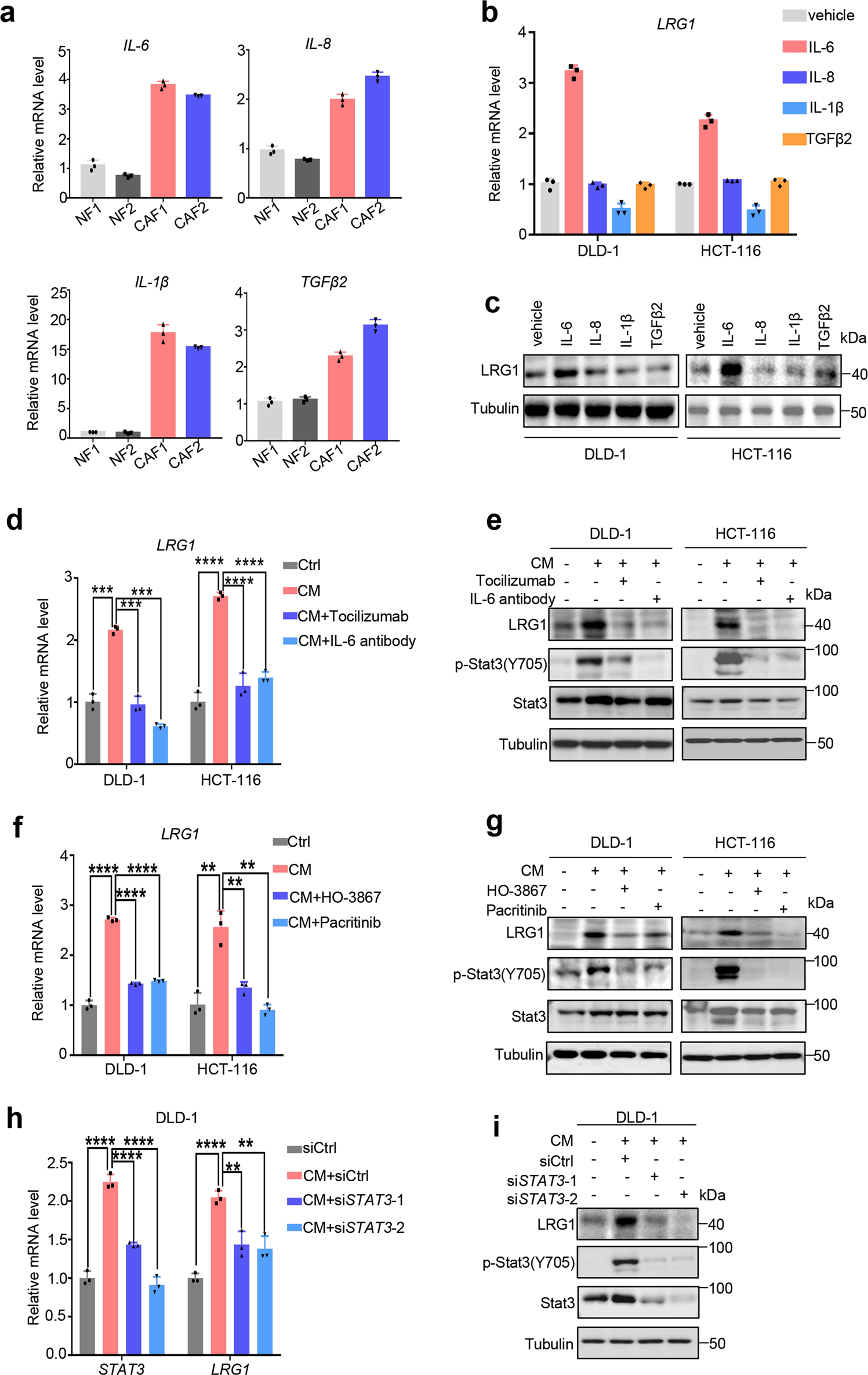 Fig. 4: CAFs-secreted IL6 up-regulates LRG1 through activating JAK2/STAT3 signaling.